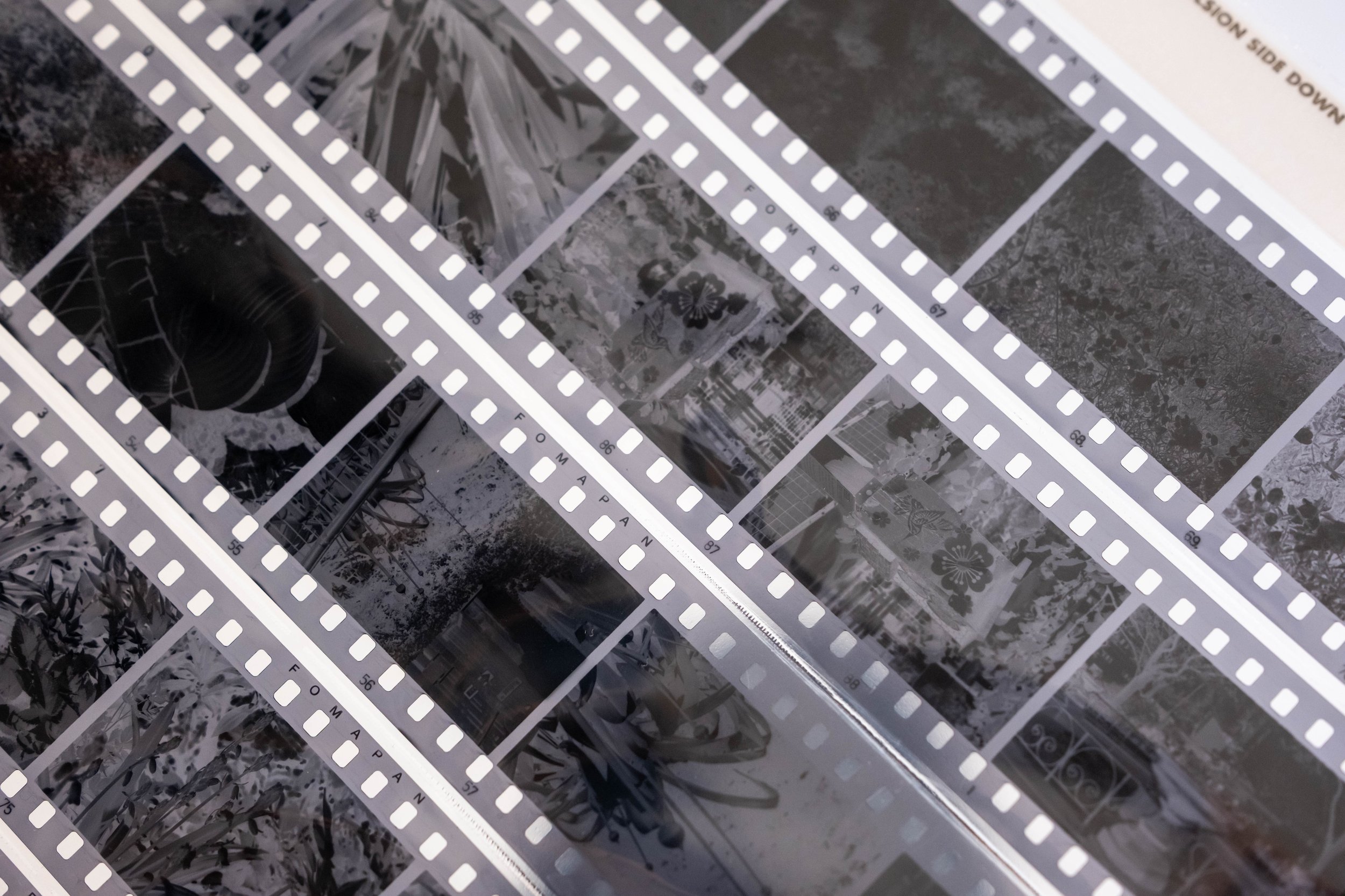 Developing Film with Caffenol with Brittonie Fletcher: May 2