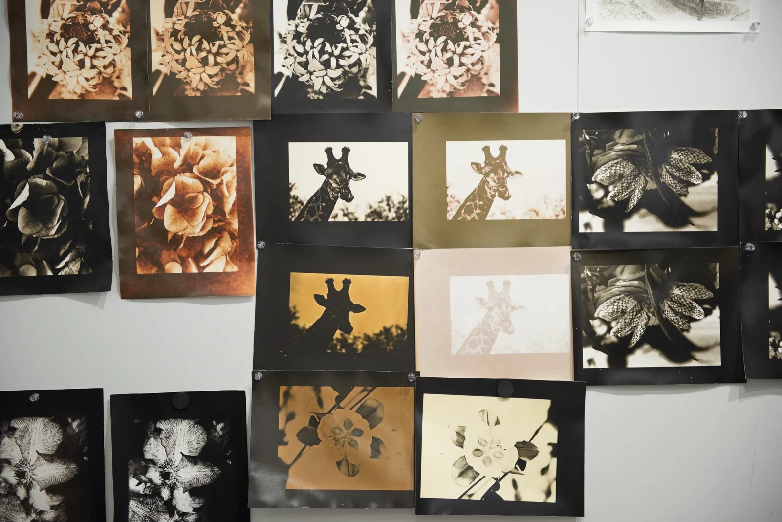 20240623-Lith Printing-Brittonie-62.jpg