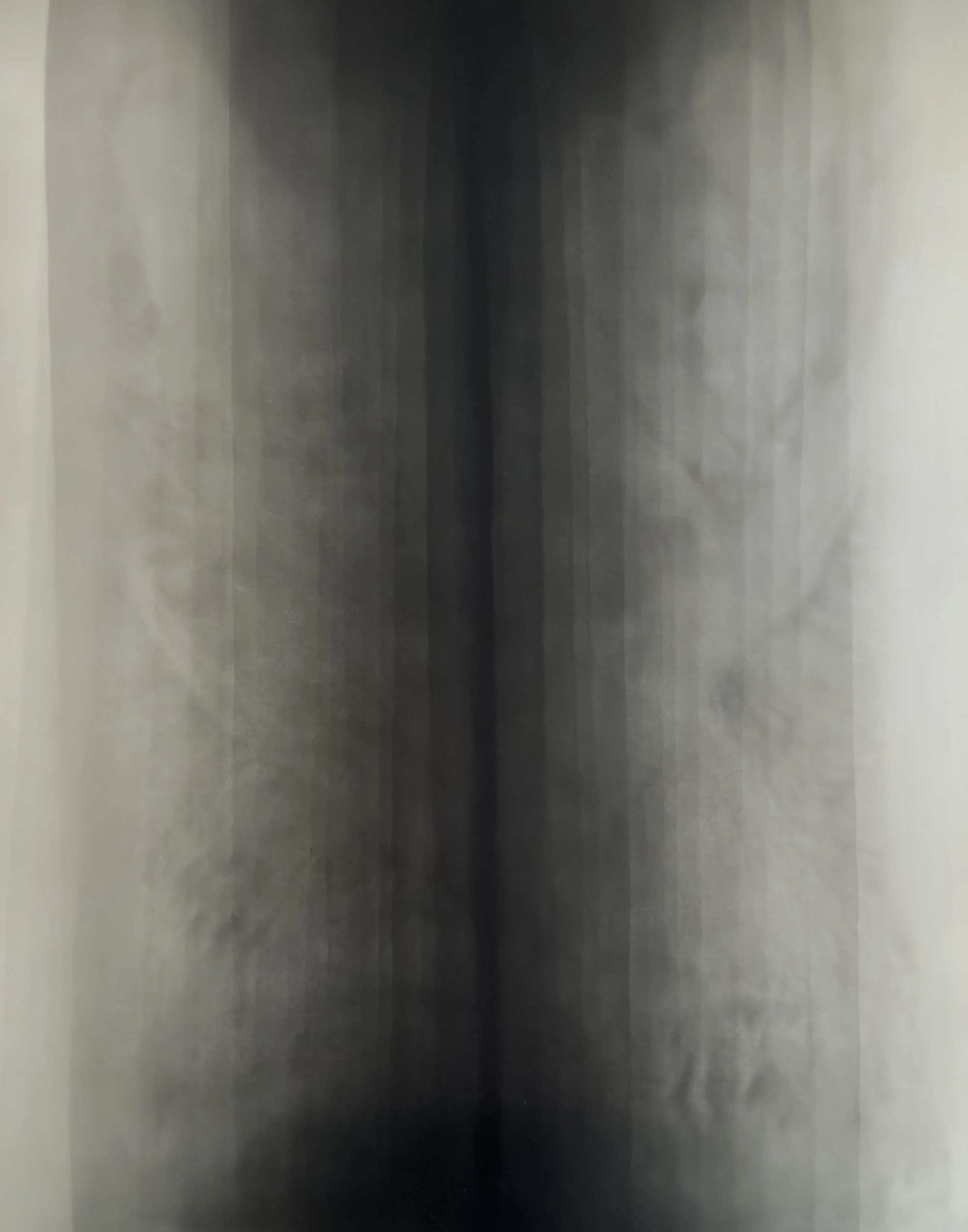 rose04.jpg