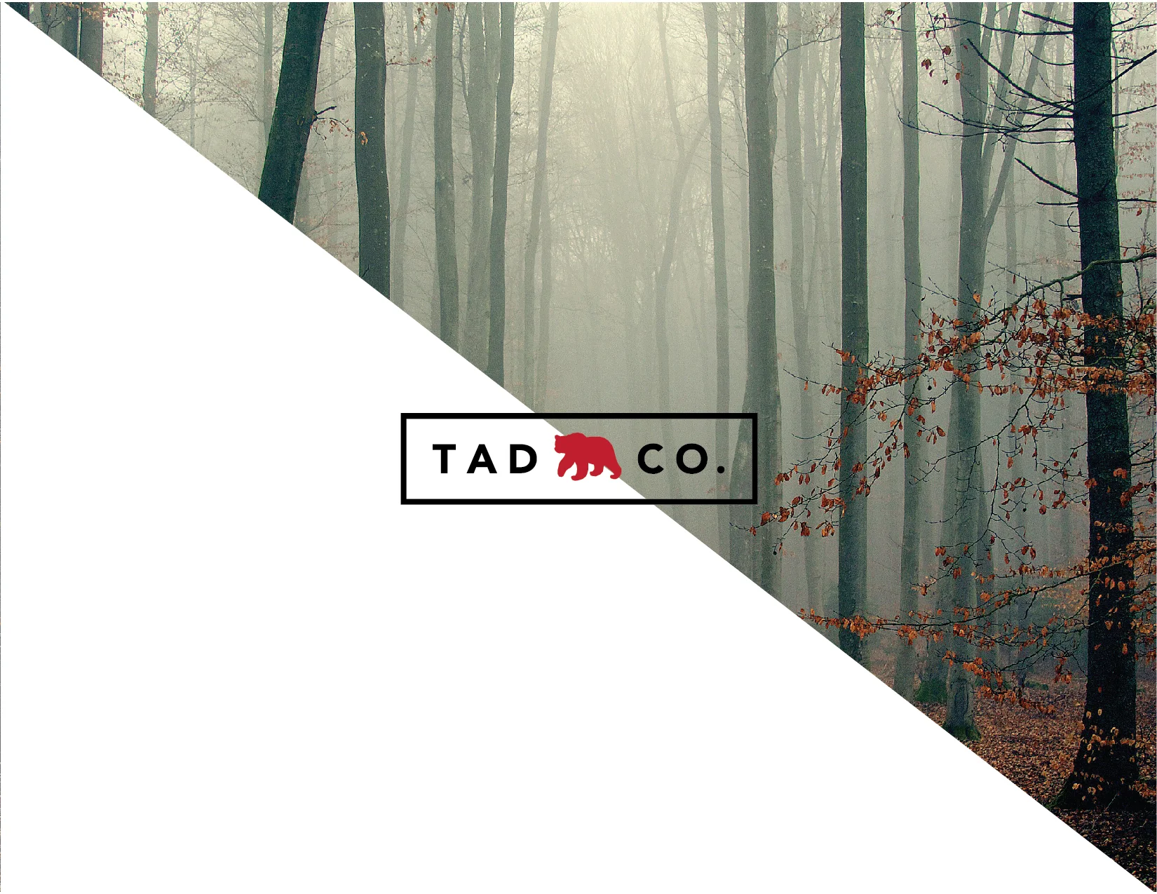 TAD-05.jpg