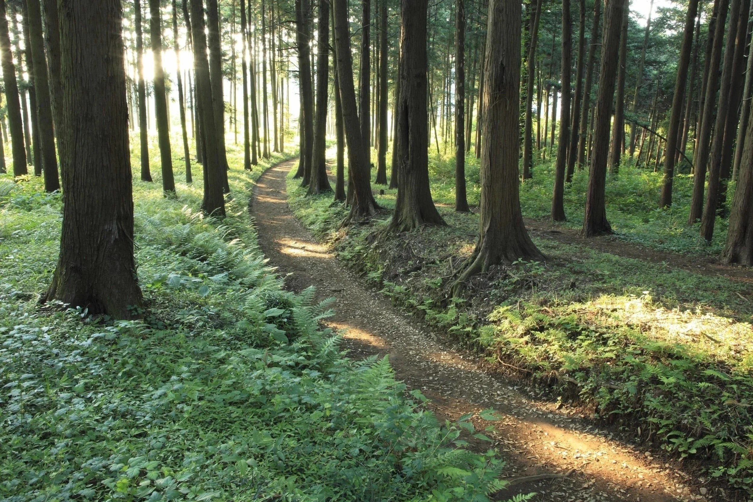  Save the Date! Thursday, September 17, 2026!  Multi-Stakeholder Natural Resources State-of-the-Practice Meeting -- in Washington, DC and via web.  Full details here soon! 