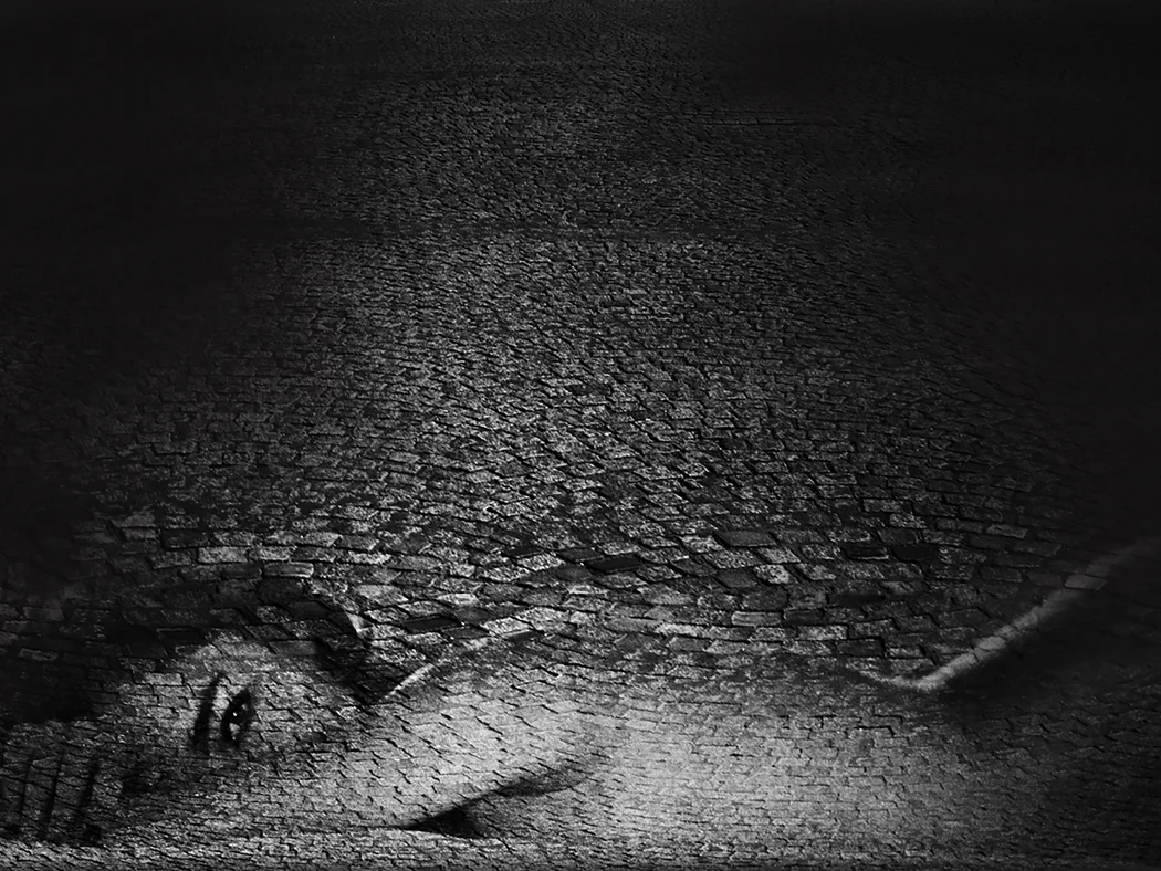 Sentient 1/10 Printed on: Hahnemuhle Photo Rag Baryta 