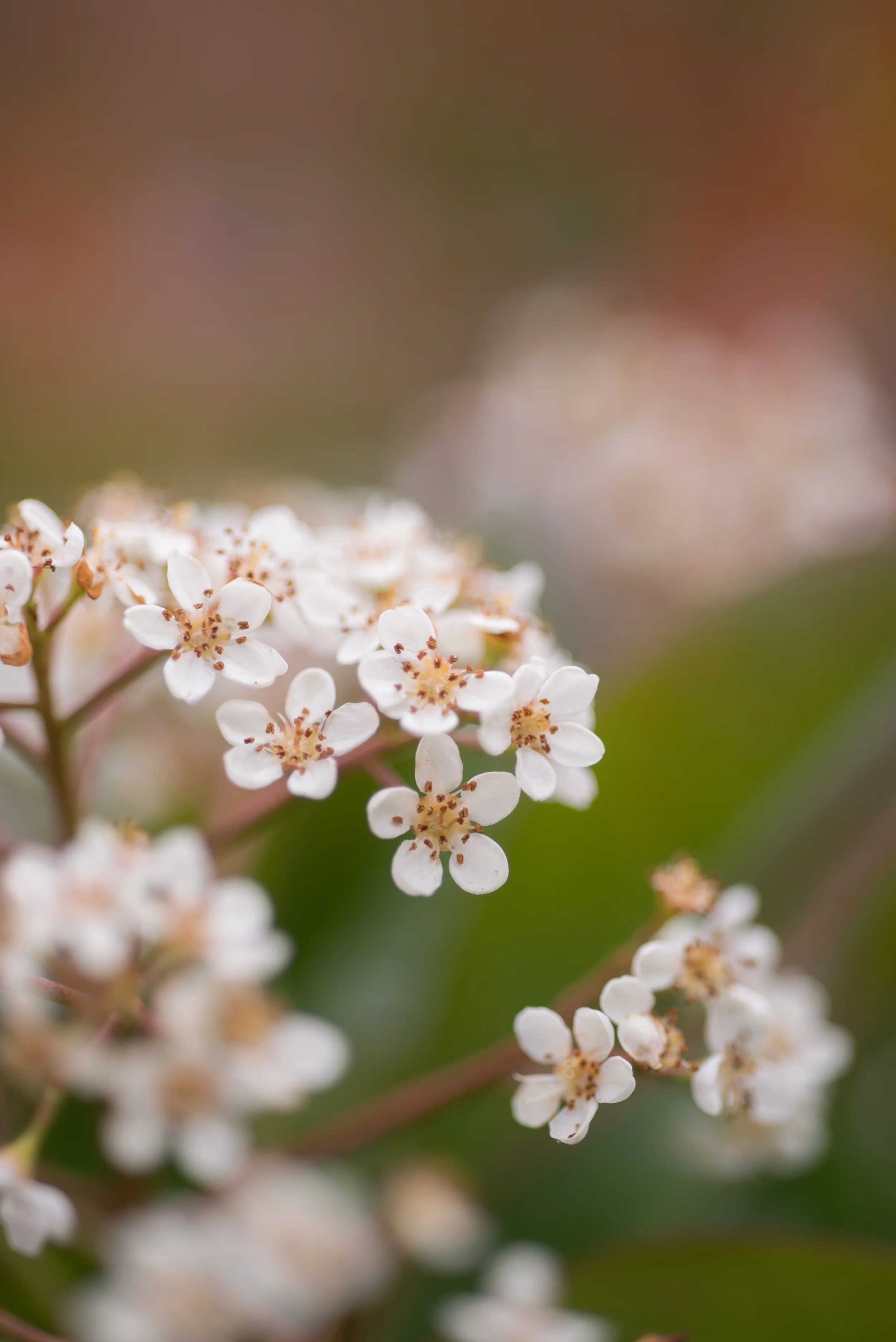 PRETTY-18.jpg