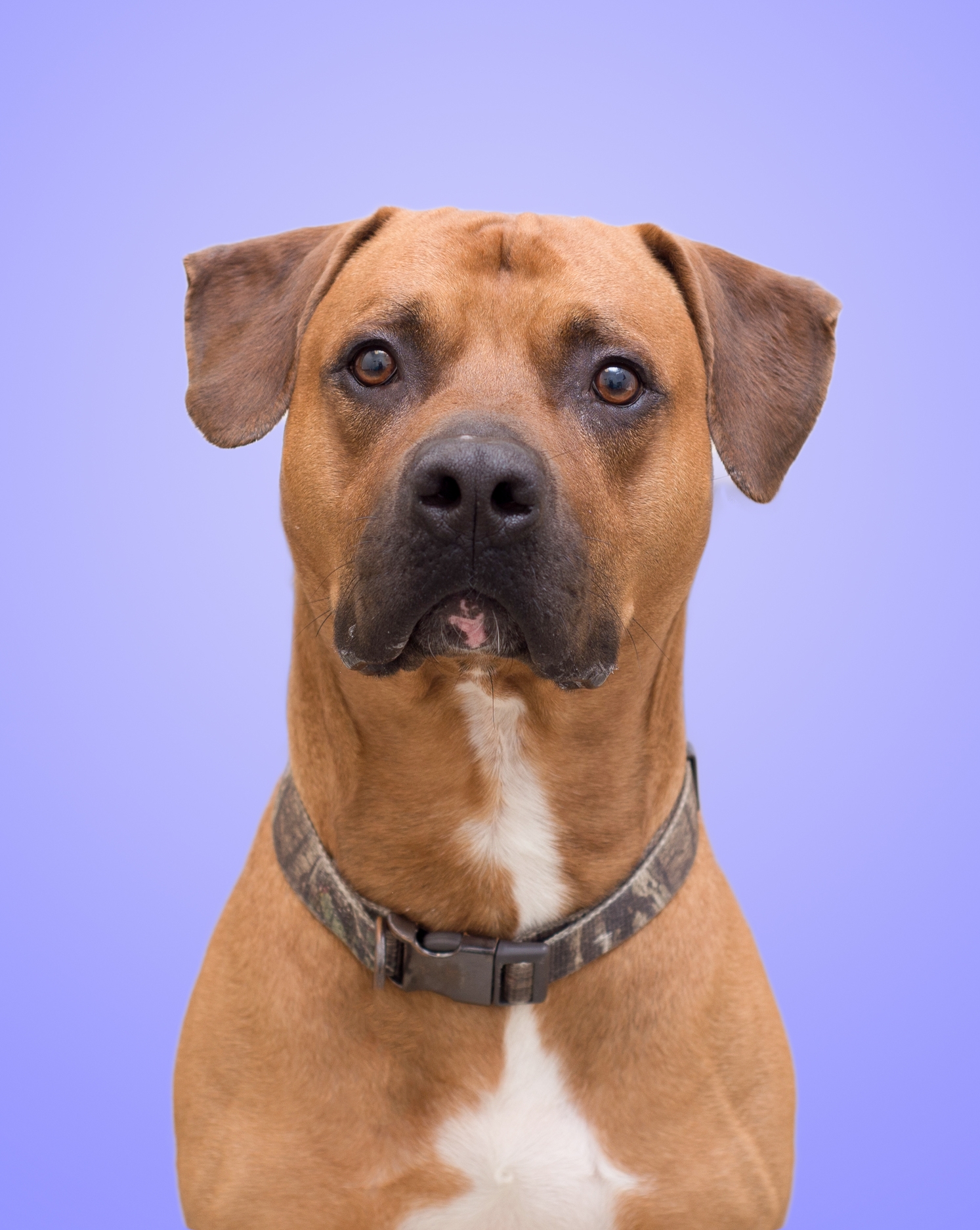 A438542- Denzel.jpg