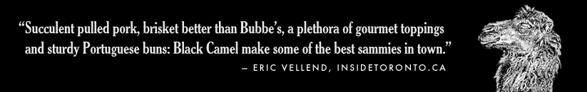 quotes-18.gif