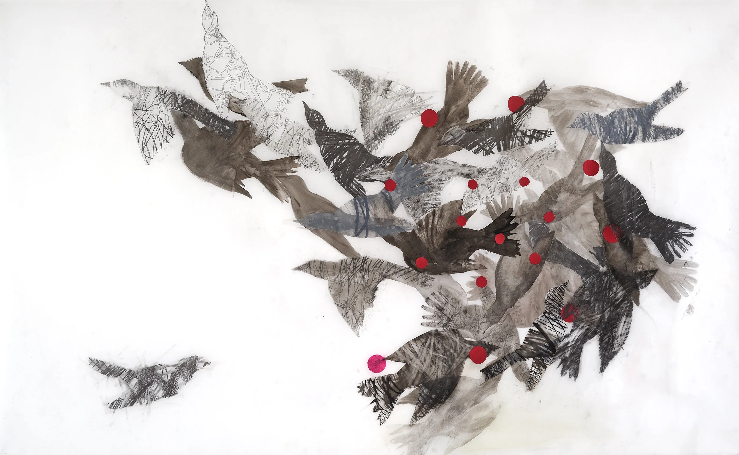 Hostetler_Birds in Formation_2016_graphite on mylar_36x58inches_$2000..jpg