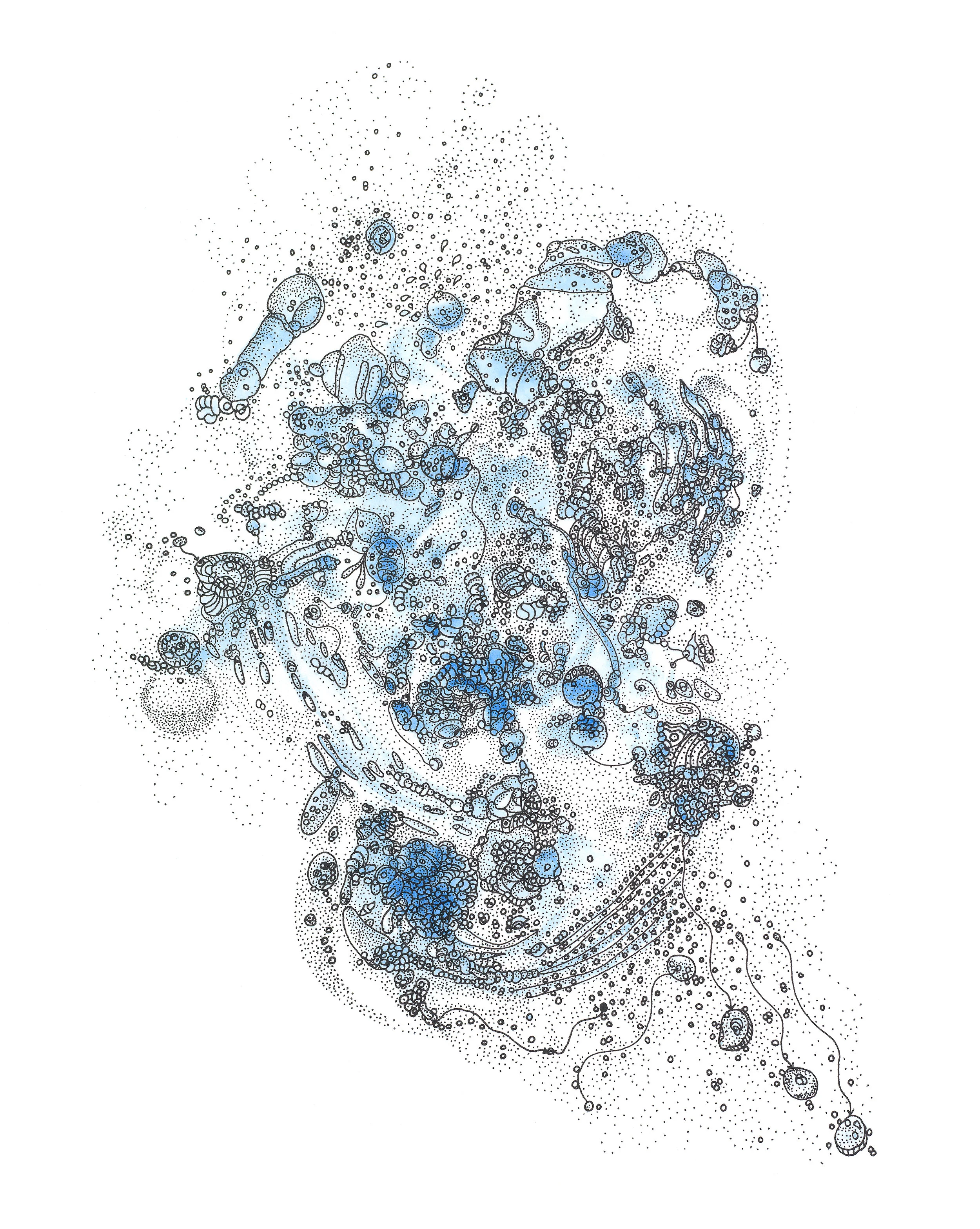 RogelioMaxwell-Interstellar Microbiology-2018-ArchivalPigmentPrint-16x20.jpg