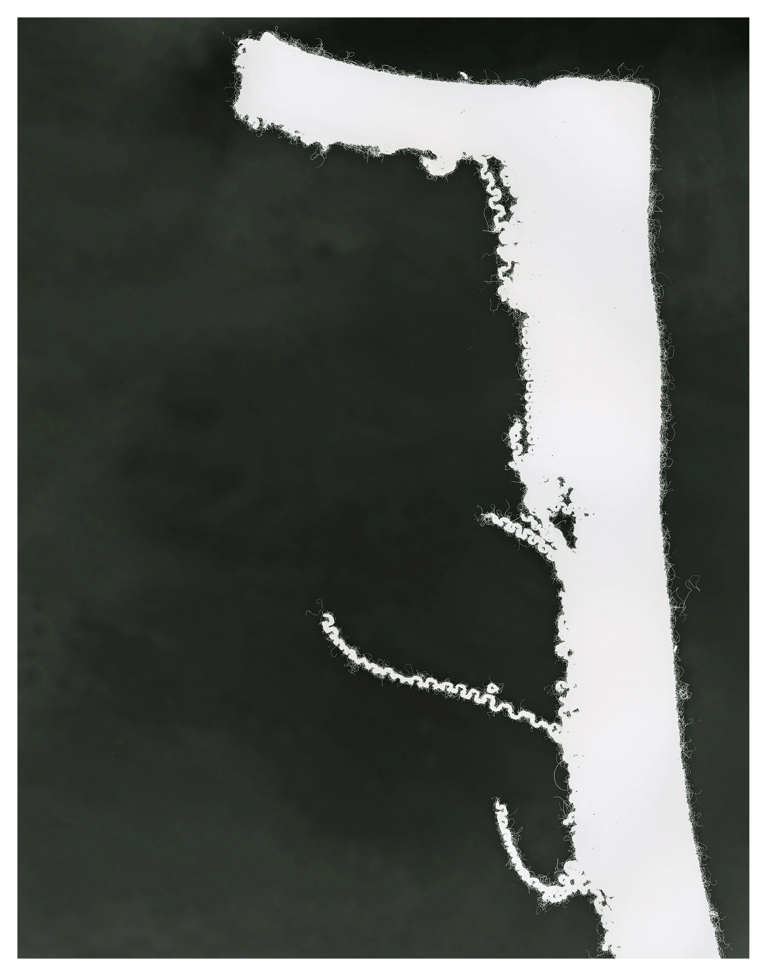 Lauren Altman_A Cut That Frayed the Bone_14_ w x 11_ h_digital print_2017_$1000.00.jpg