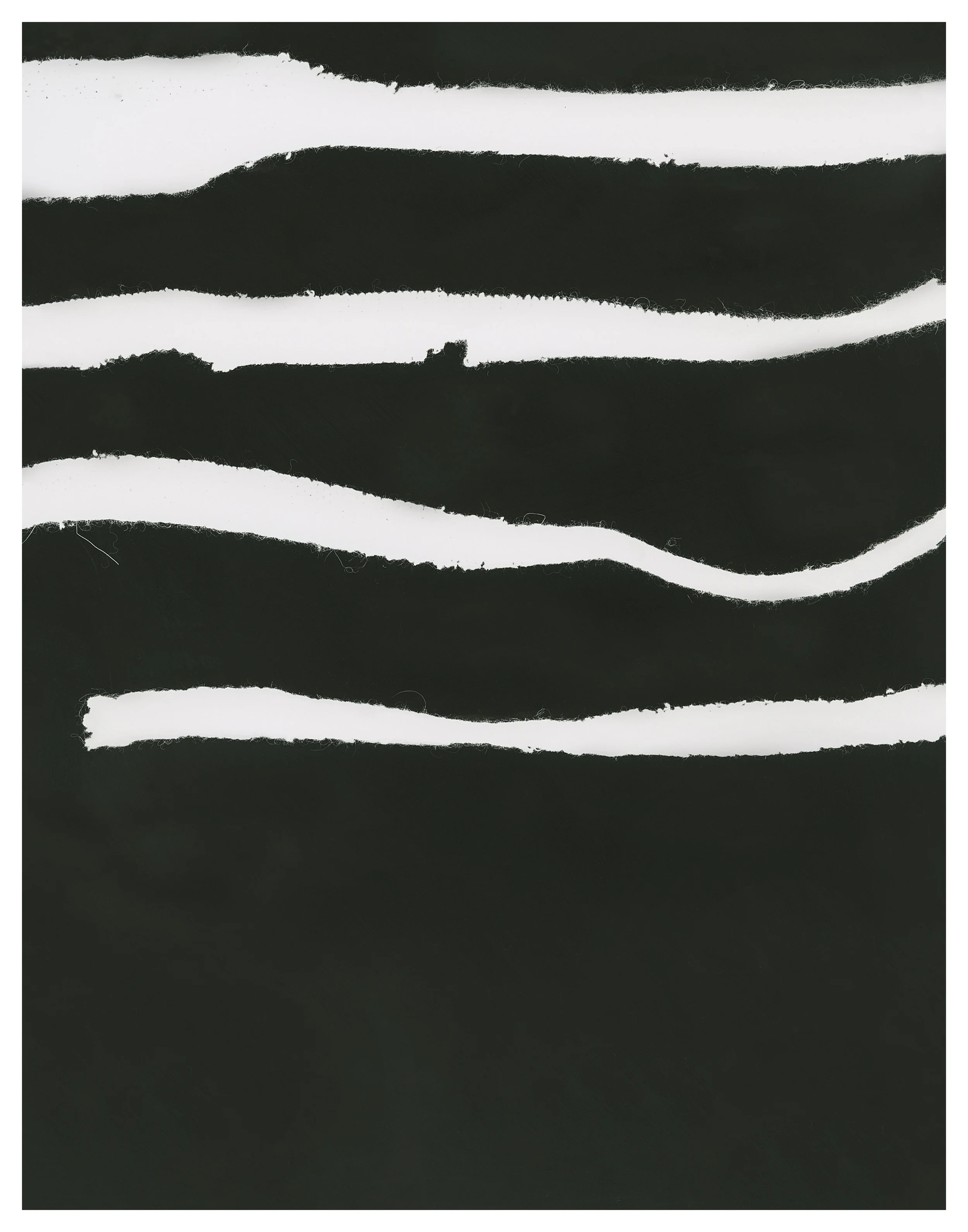 Lauren Altman_Missing Link_14_ w x 11_ h_digital print_2018_$1000.00.jpg