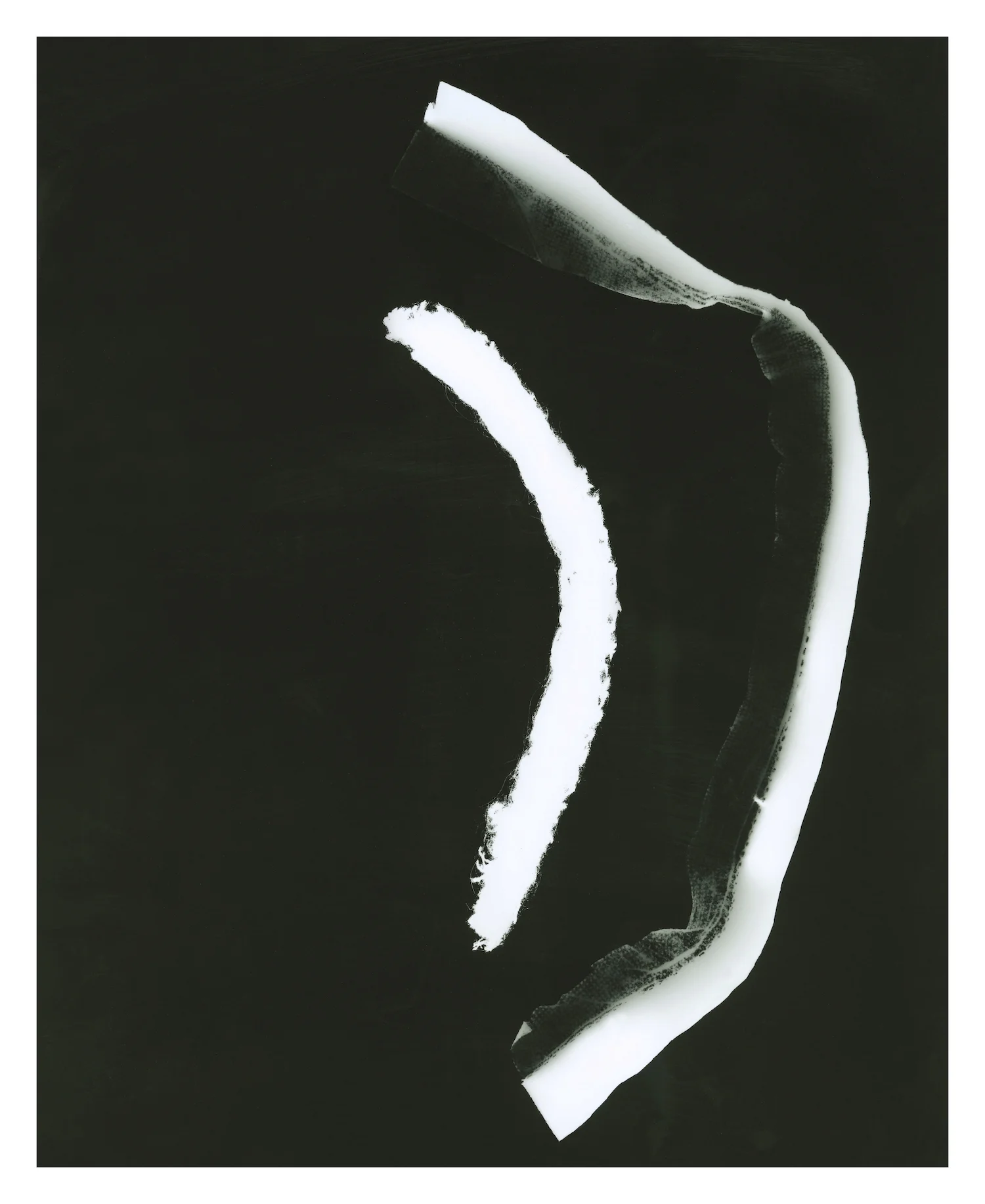 Lauren Altman_Protected_27_ w x 33_ h_digital print_2018_$4000.00.jpg