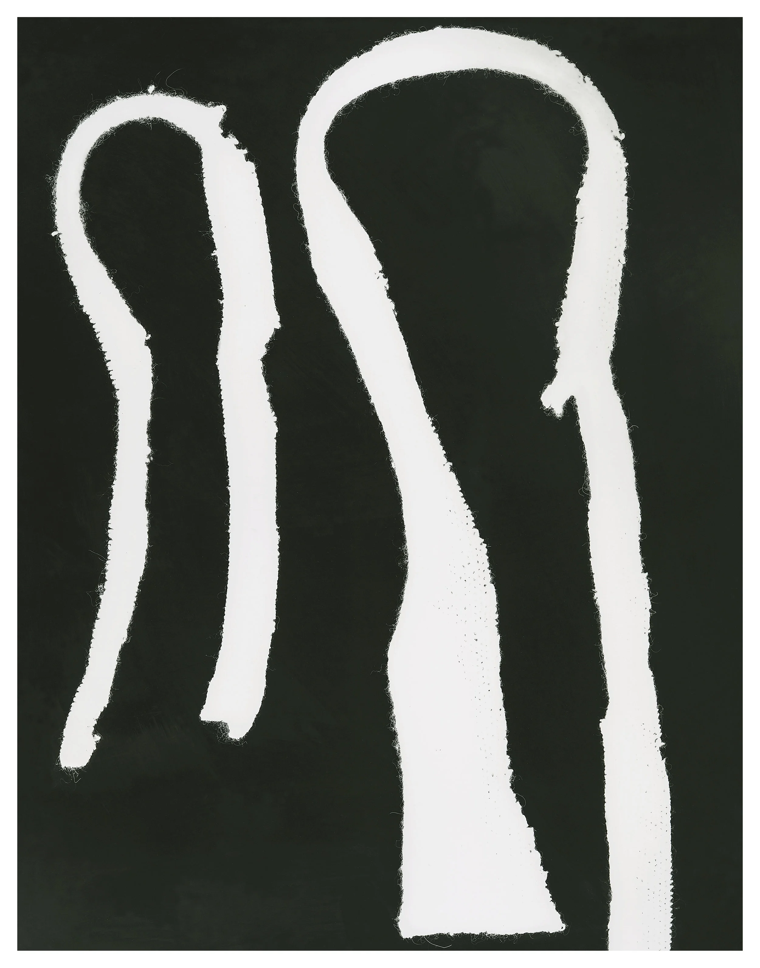 Lauren Altman_Two Cloaks_14_ w x 11_ h_digital print_2017_$1000.00.jpg