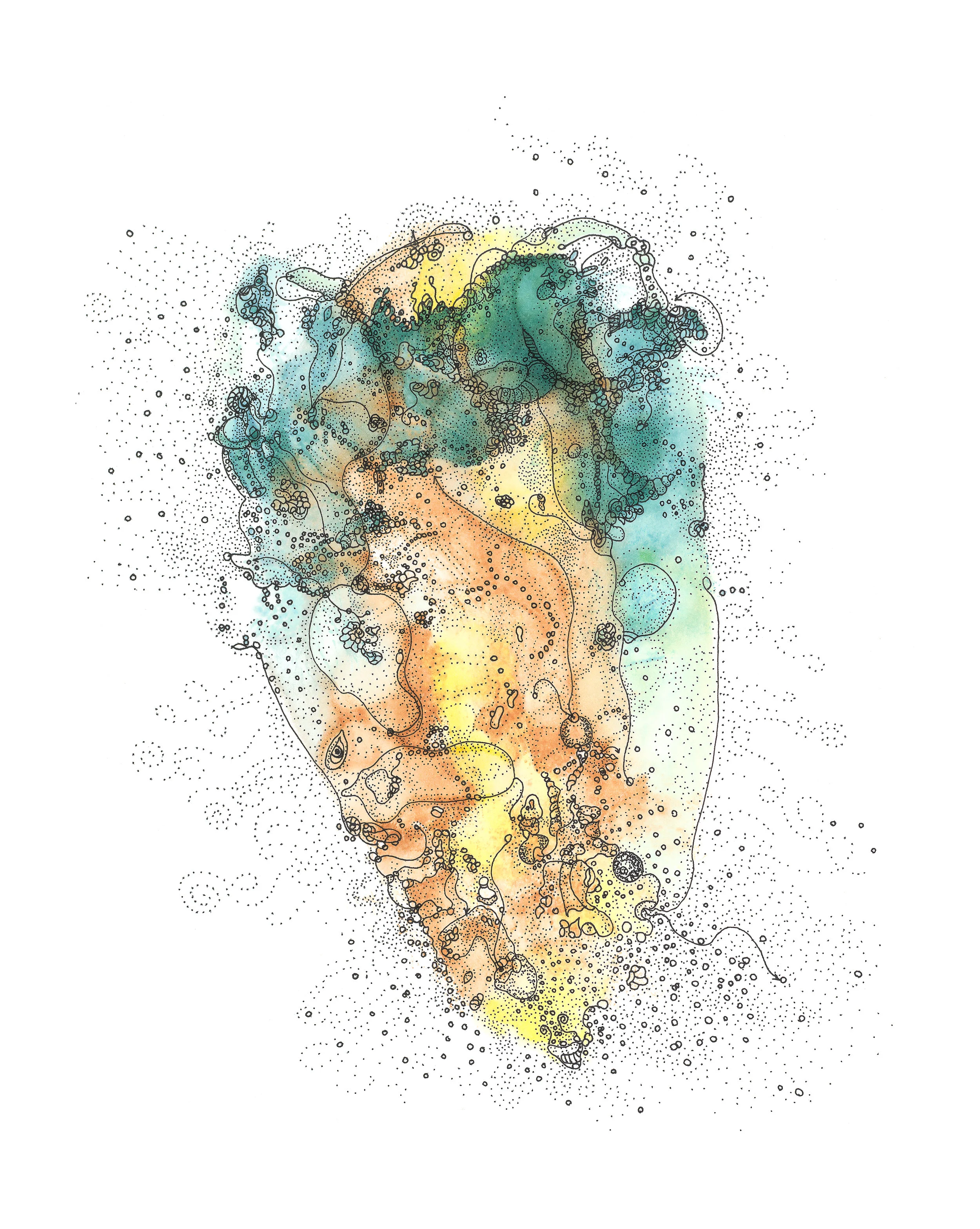 RogelioMaxwell-ArchilliousPenetrousyllus-2018-ArchivalPigmentPrint-8x10-$100.jpg