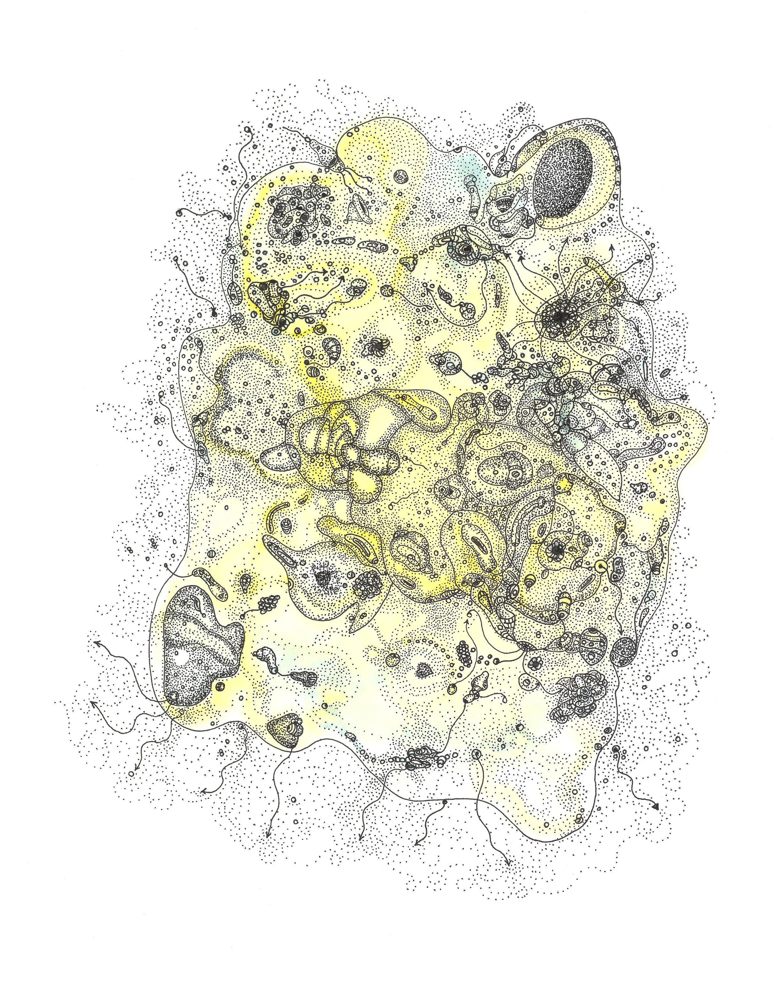 RogelioMaxwell-MitochondriaDream-2018-Ink_AcrylicPaint-8x10-$1000.jpg