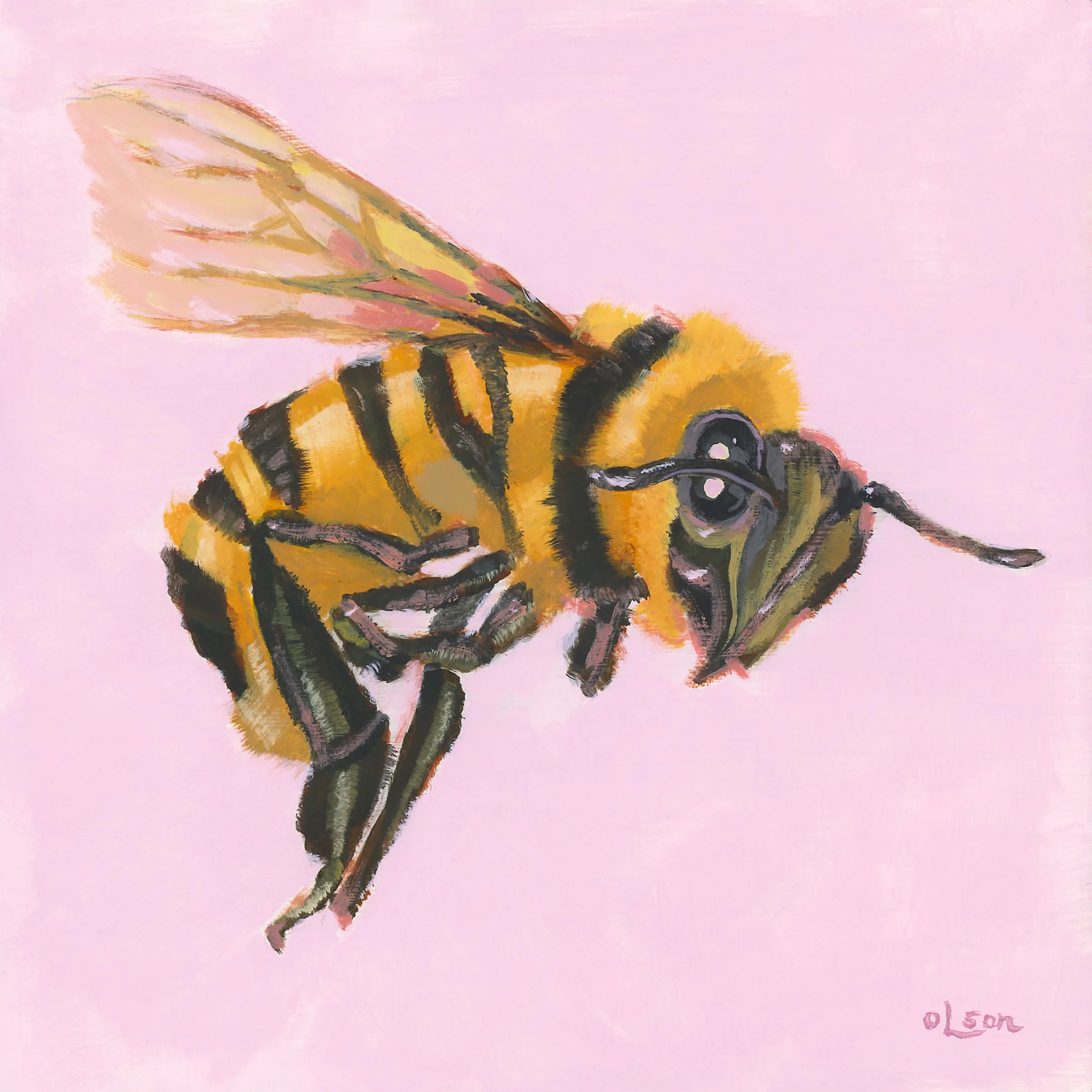 Christopher Olson-Hovering-Acrylic-8x8in-2018-$400.00.jpg