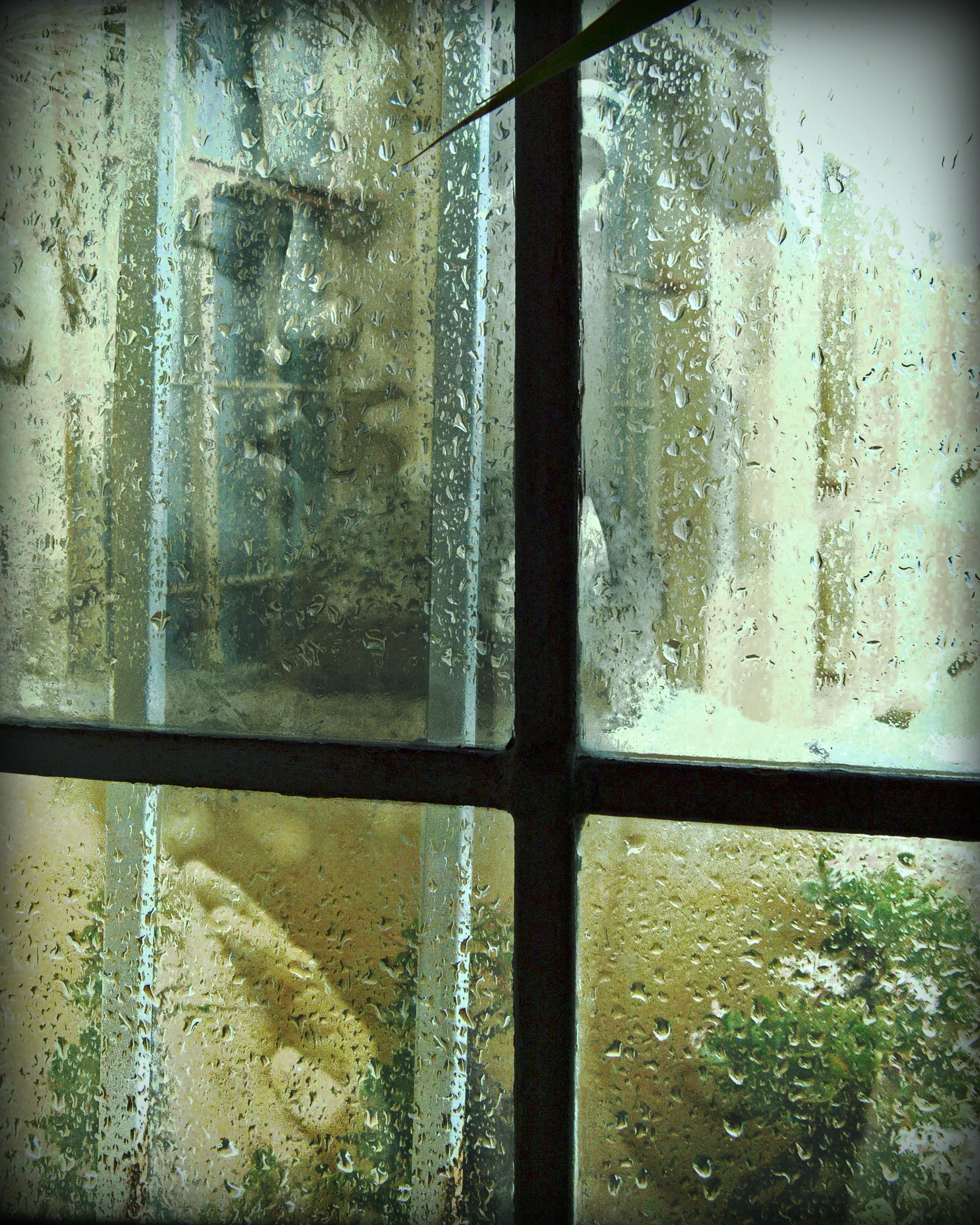 John Waiblinger-Rain Kissed-Digital Art printed on aluminum-12.75Wx16H-1of10-2012-Framed$495.jpg
