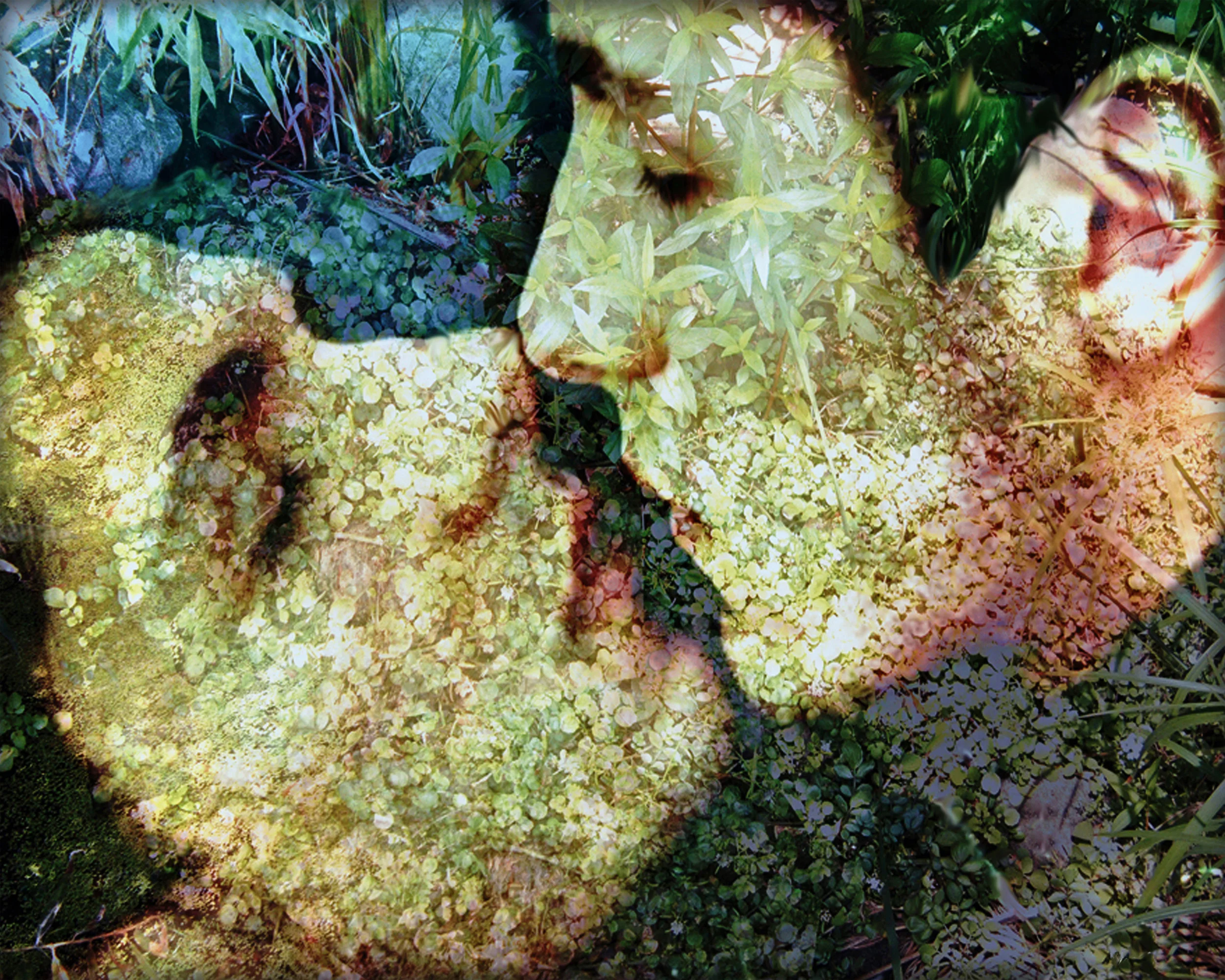 John Waiblinger-Kiss-Digital Art on paper-20x16-Ed3of10-2012 -framed$675.jpg