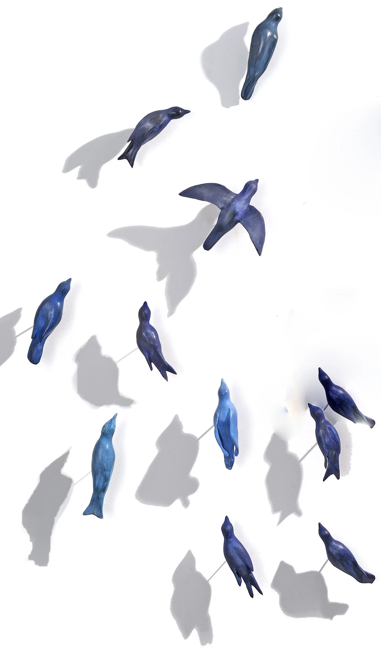 Birds in Flight.jpg