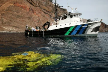 Submerged-Sub-and-Ship-IMG_8259.jpg