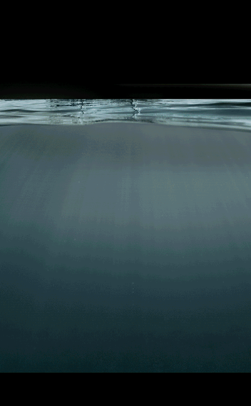 tumblr_njicfjATDB1qlq9poo7_r1_540.gif