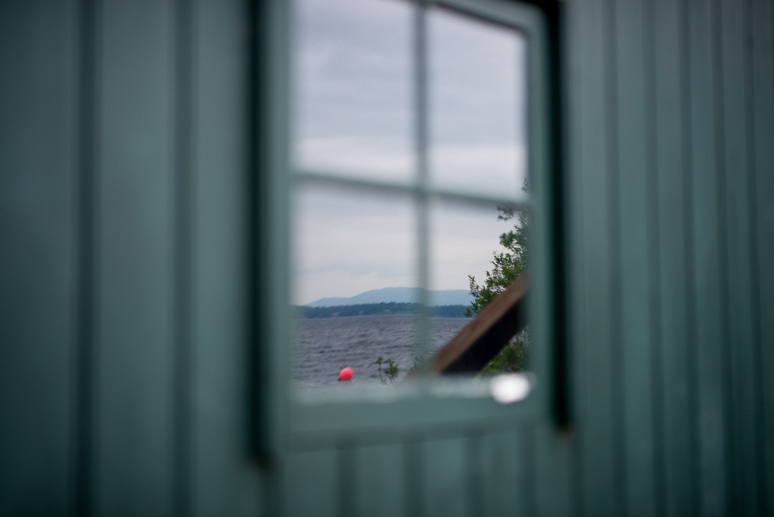 DSC_8121-1.jpg