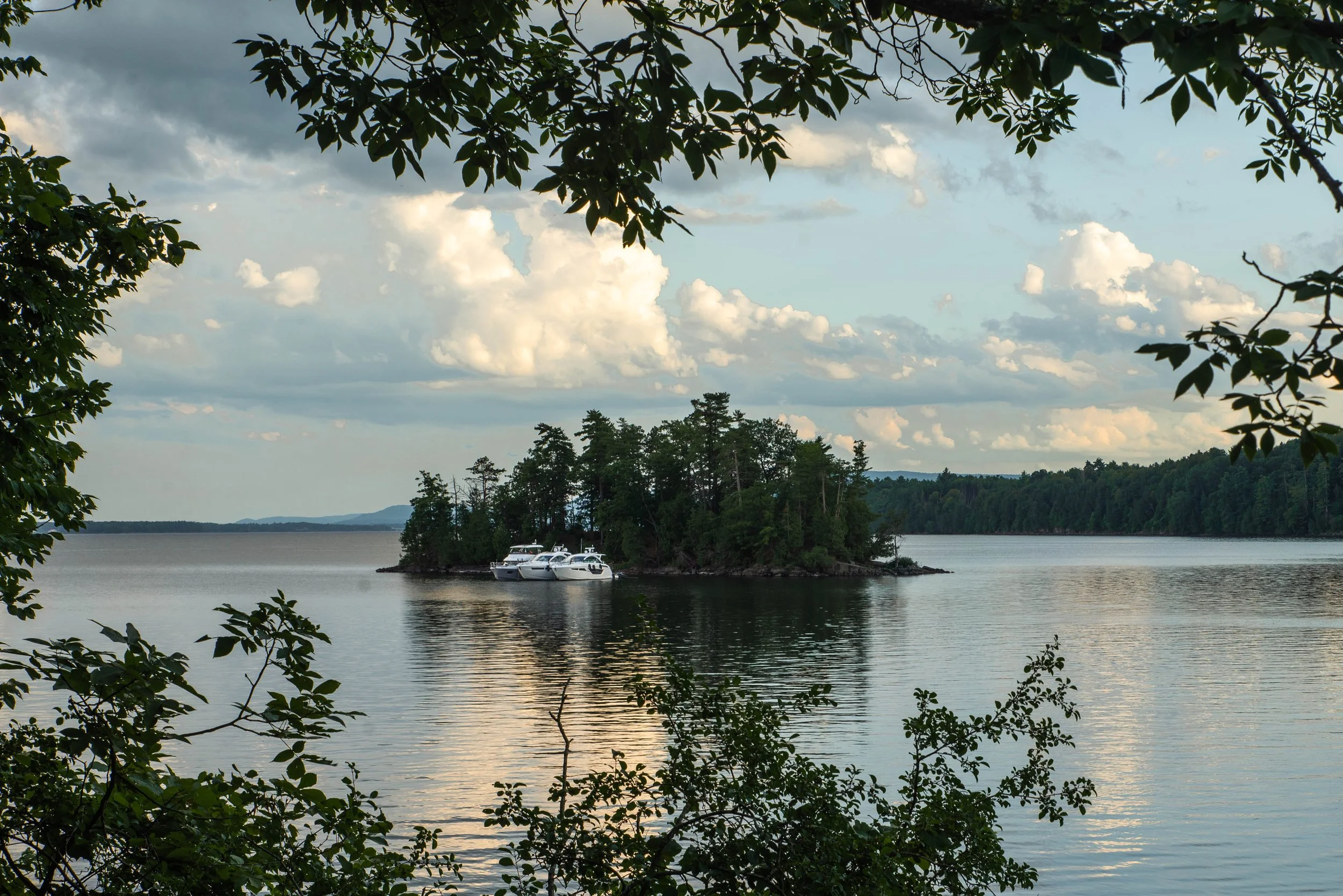 DSC_1827-2 2.jpg
