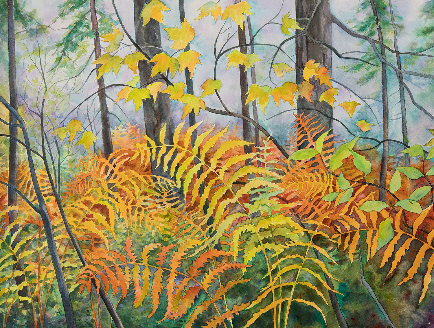 "Ferns at the VIC" no longer available