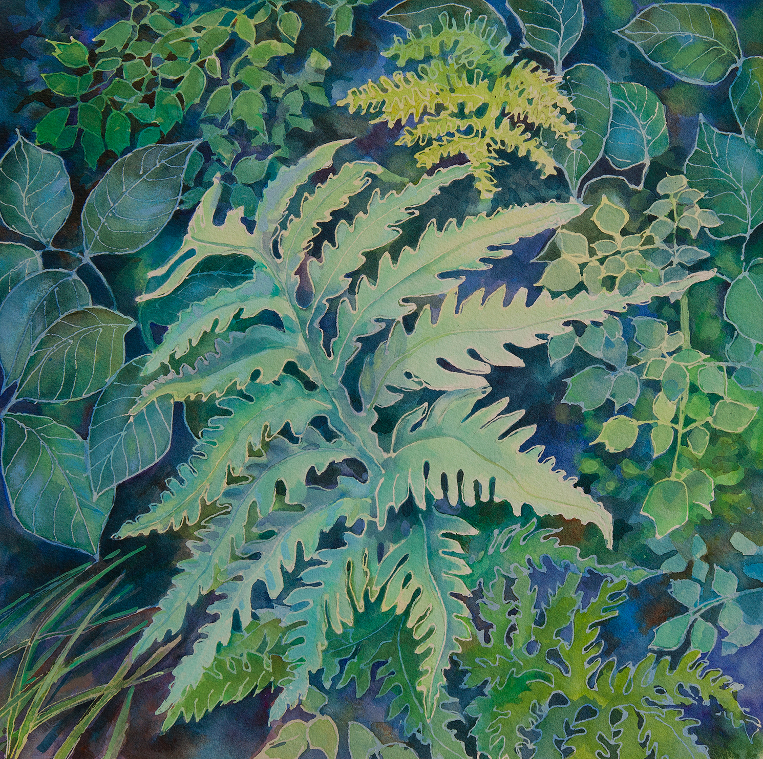 "Ampersand Ferns" no longer available