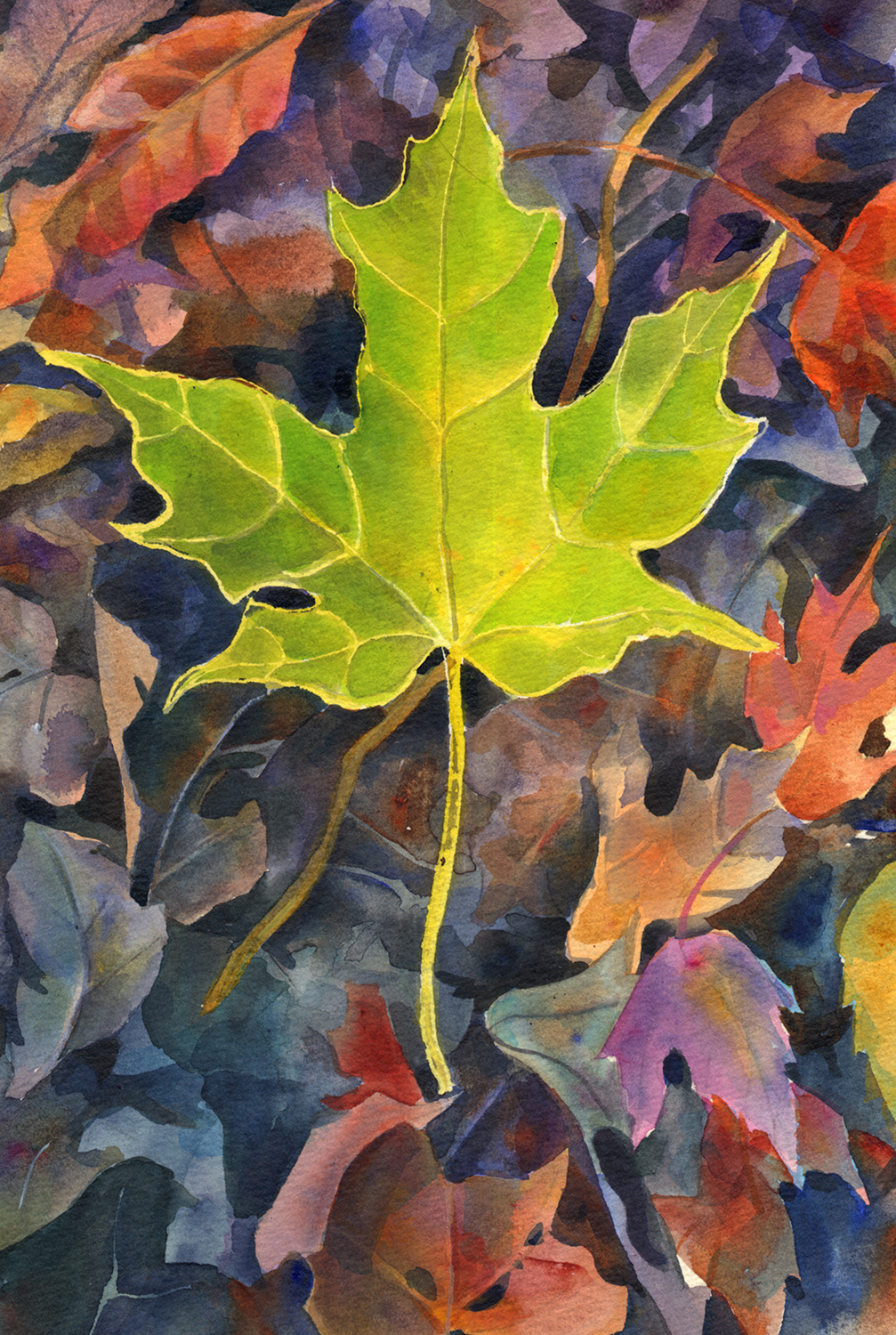 "Green Maple Leaf" no longer available