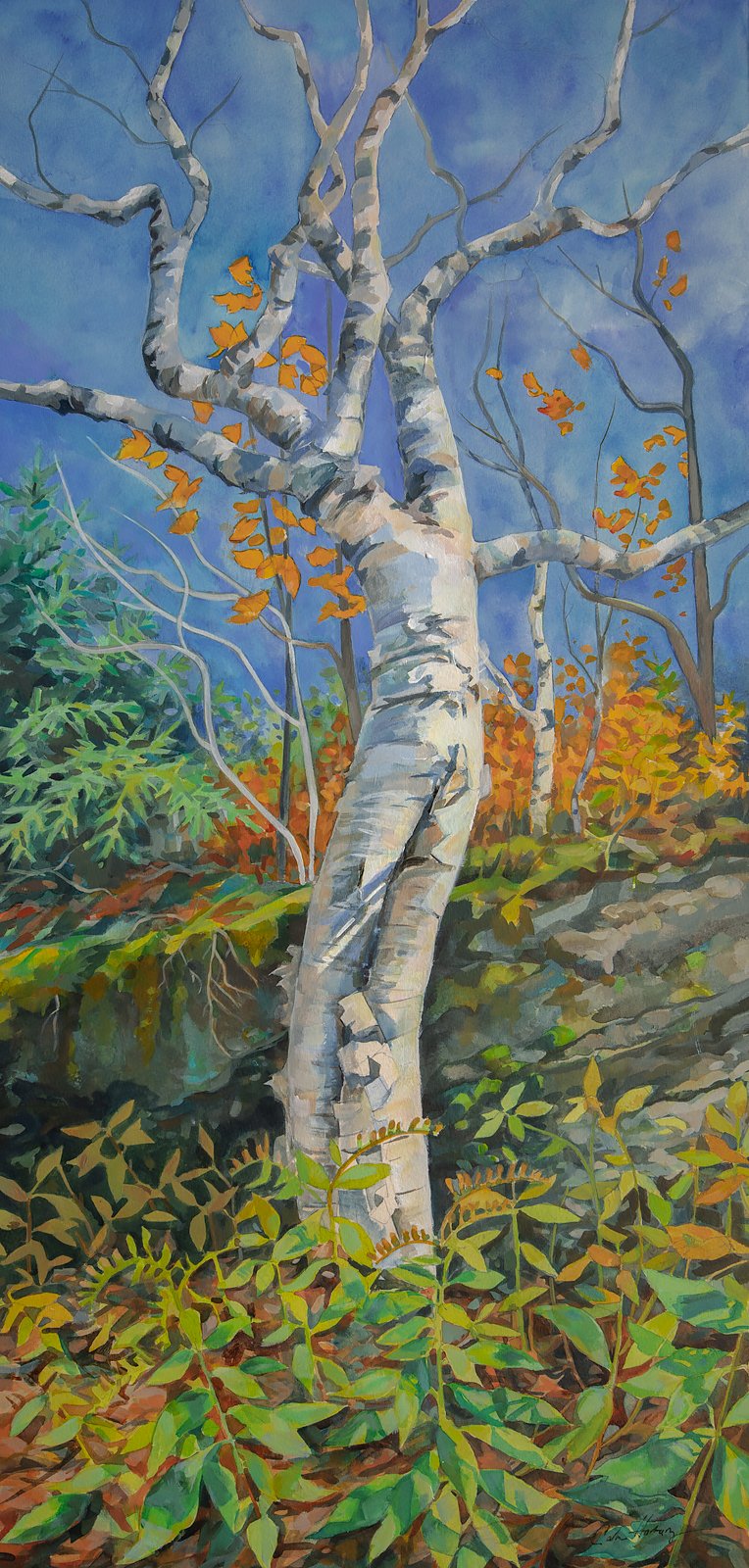 "Birch Dancer"