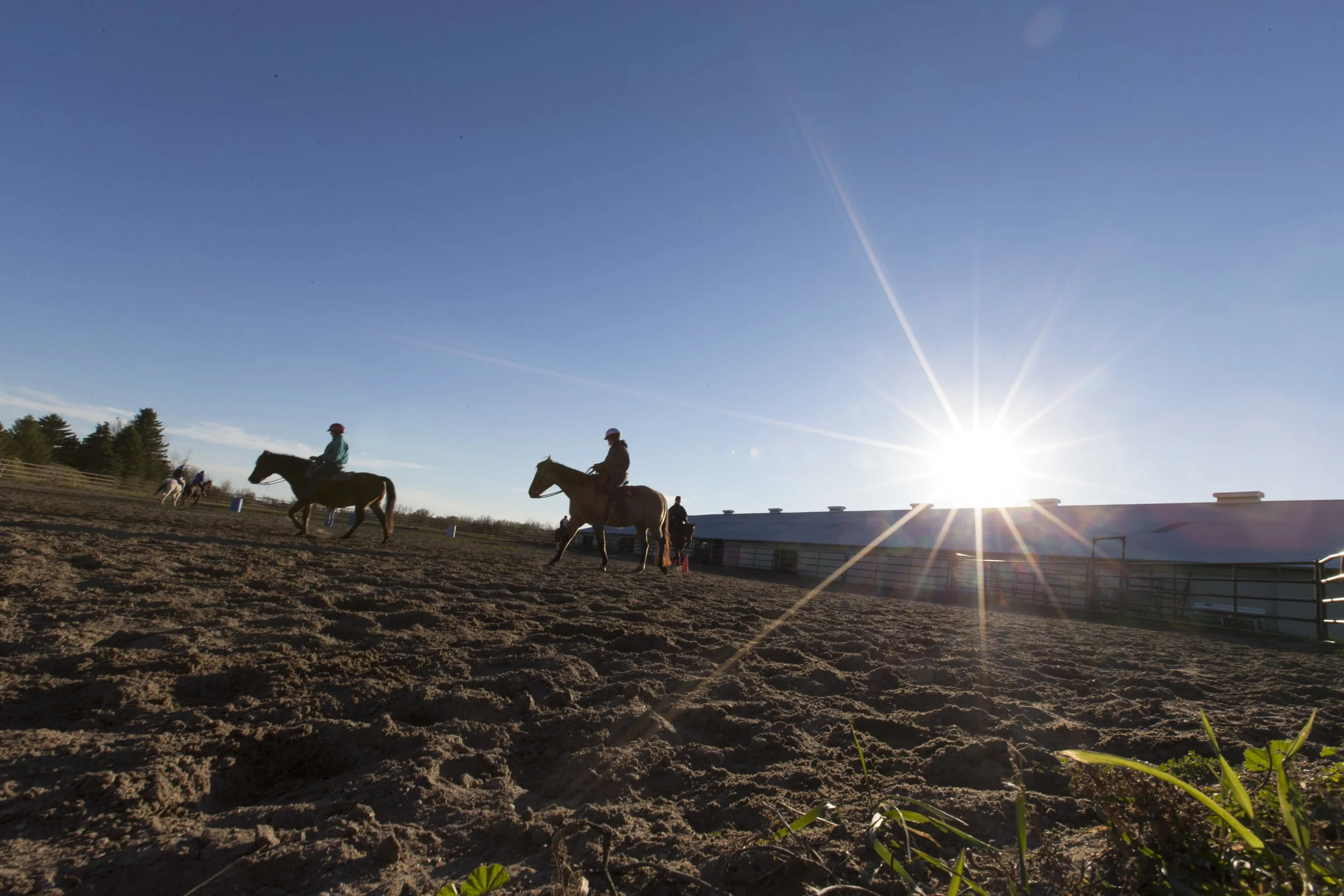 HGR Horses and I Honor a Good Man