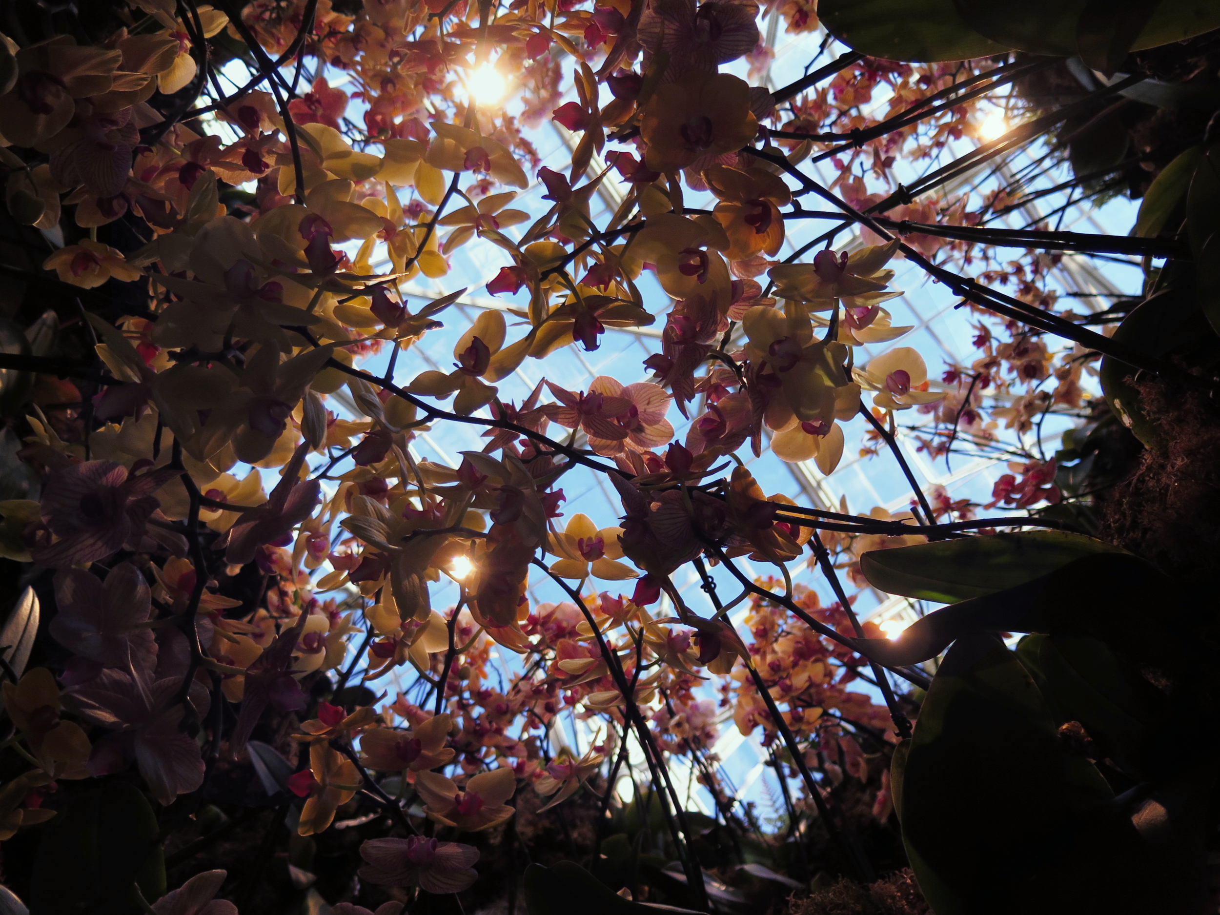 001_april.png