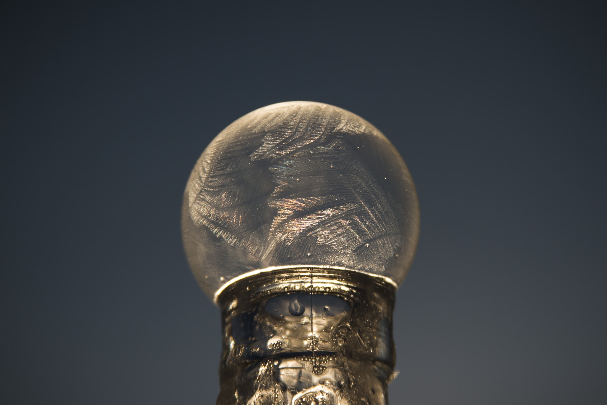 Photo by Steve Halama via Unsplash
