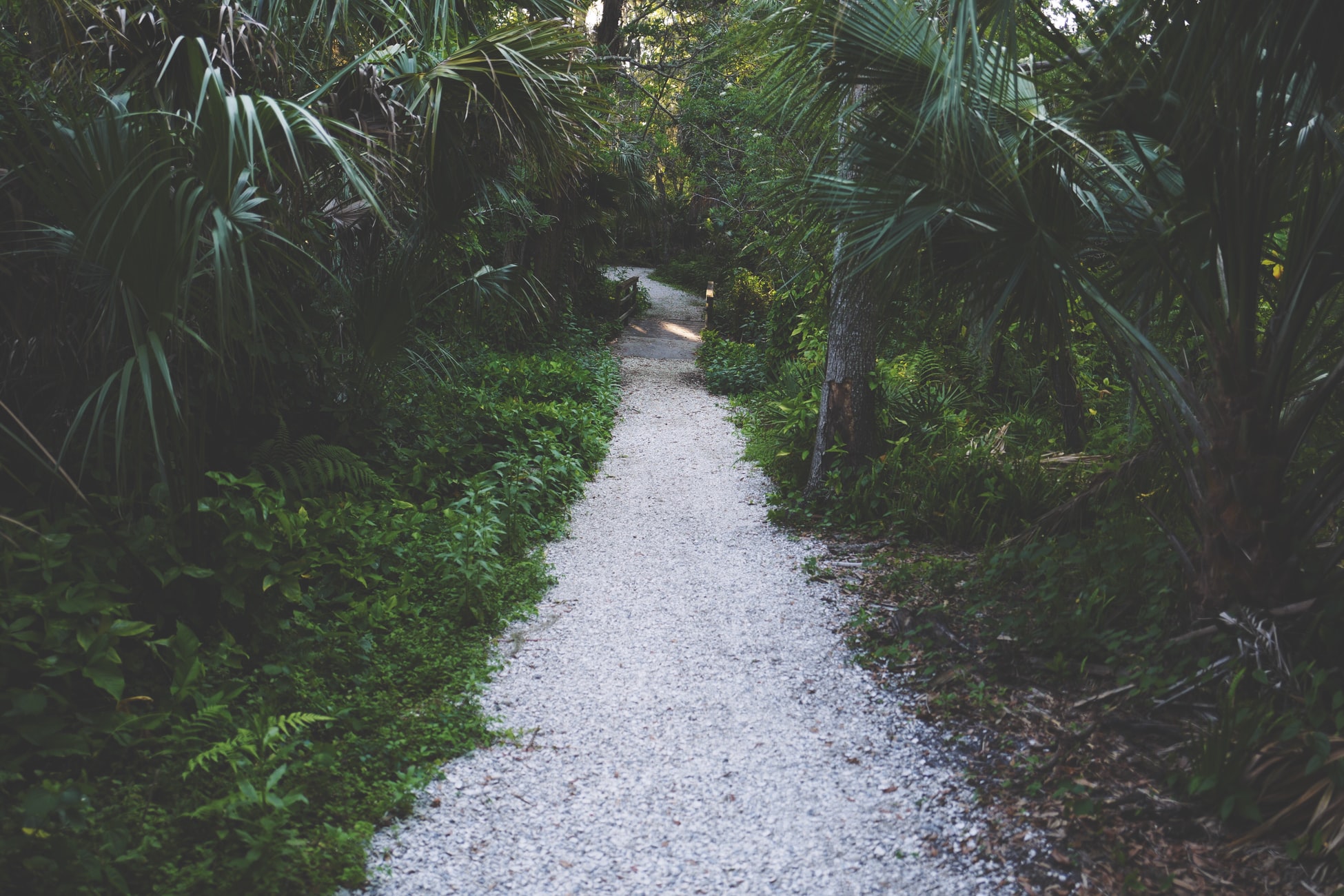 Photo by Drew Coffman via Unsplash