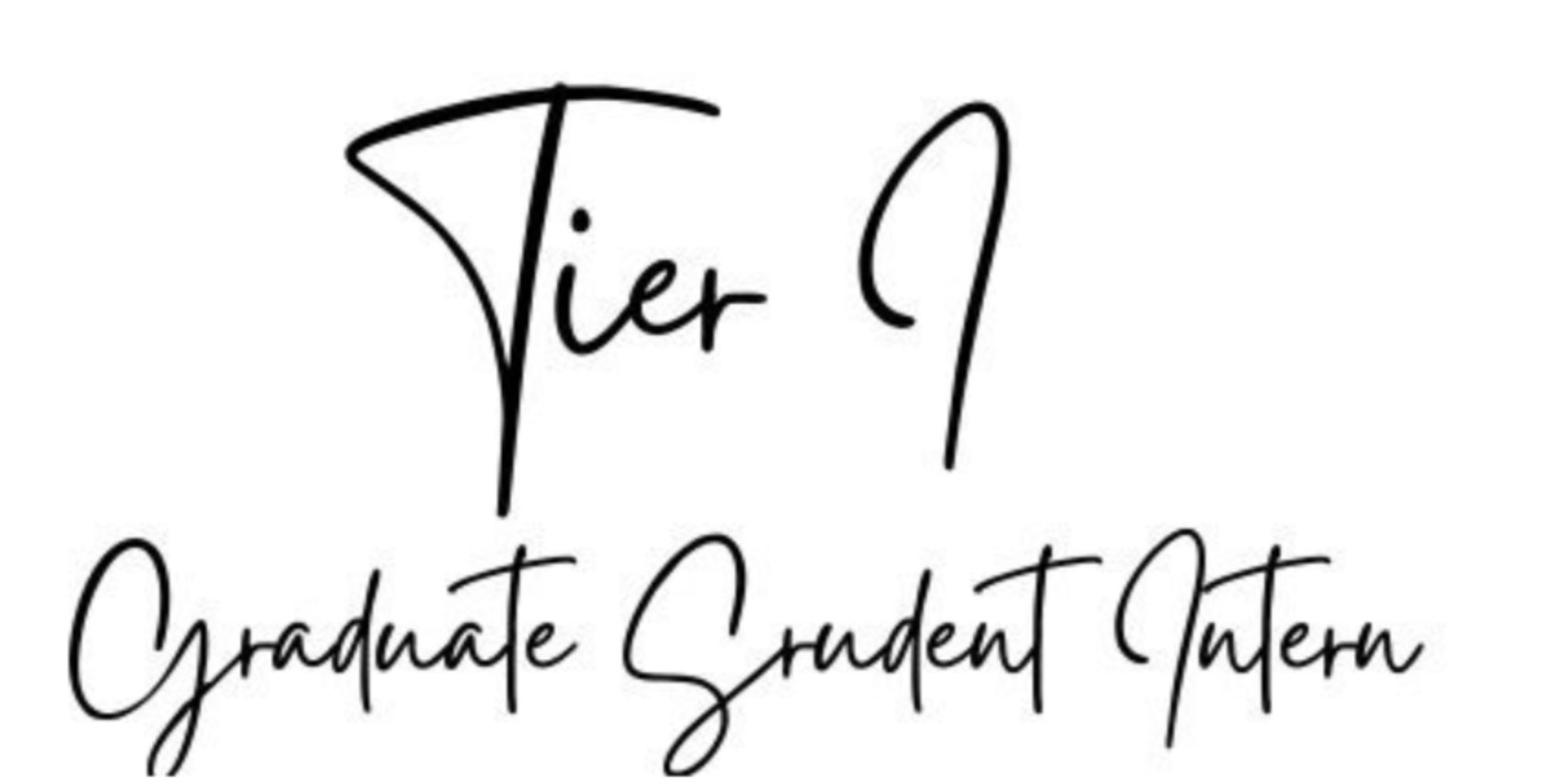 Tier I Graduate Student Intern