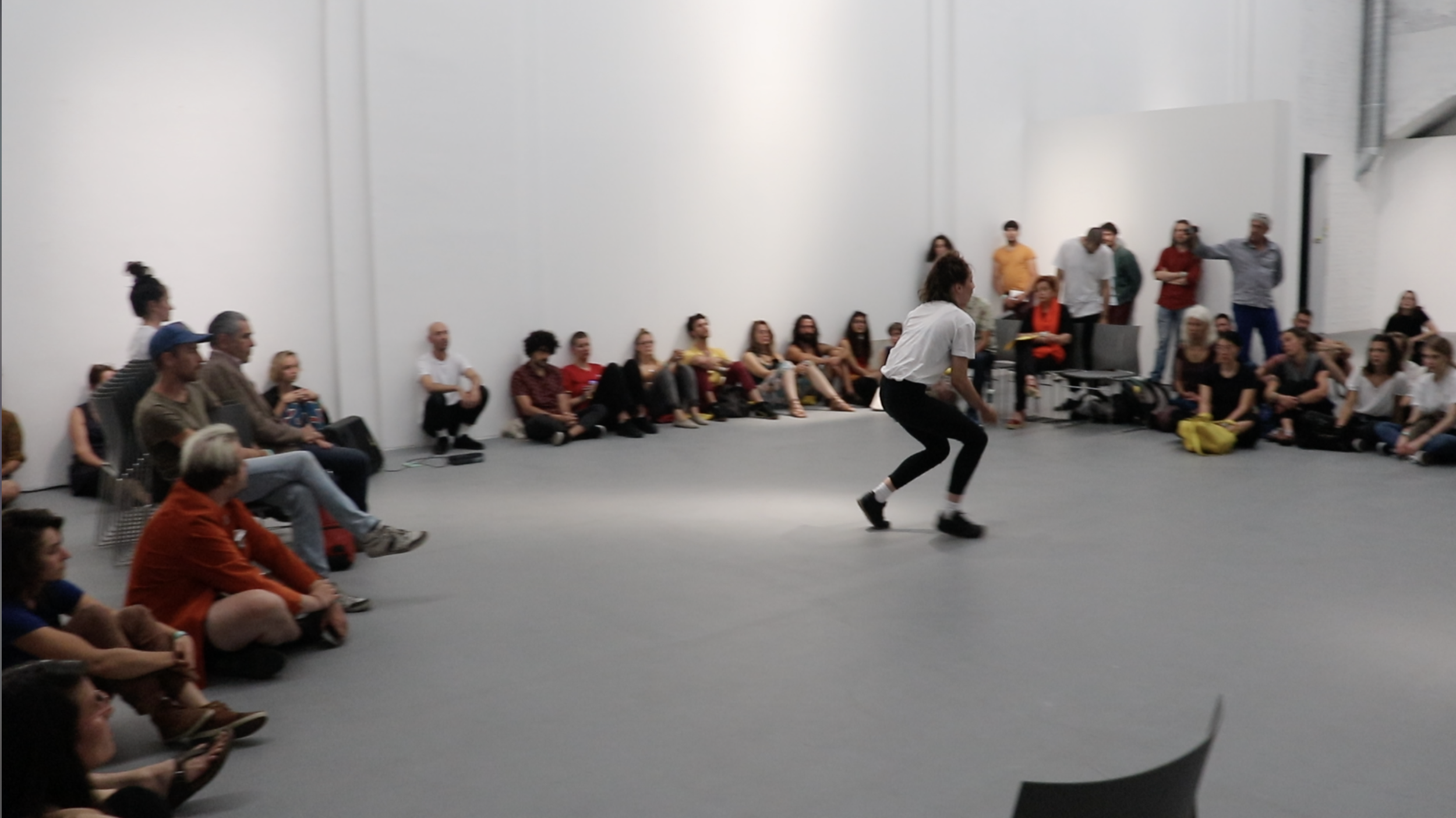 The Dead Pigeon performance