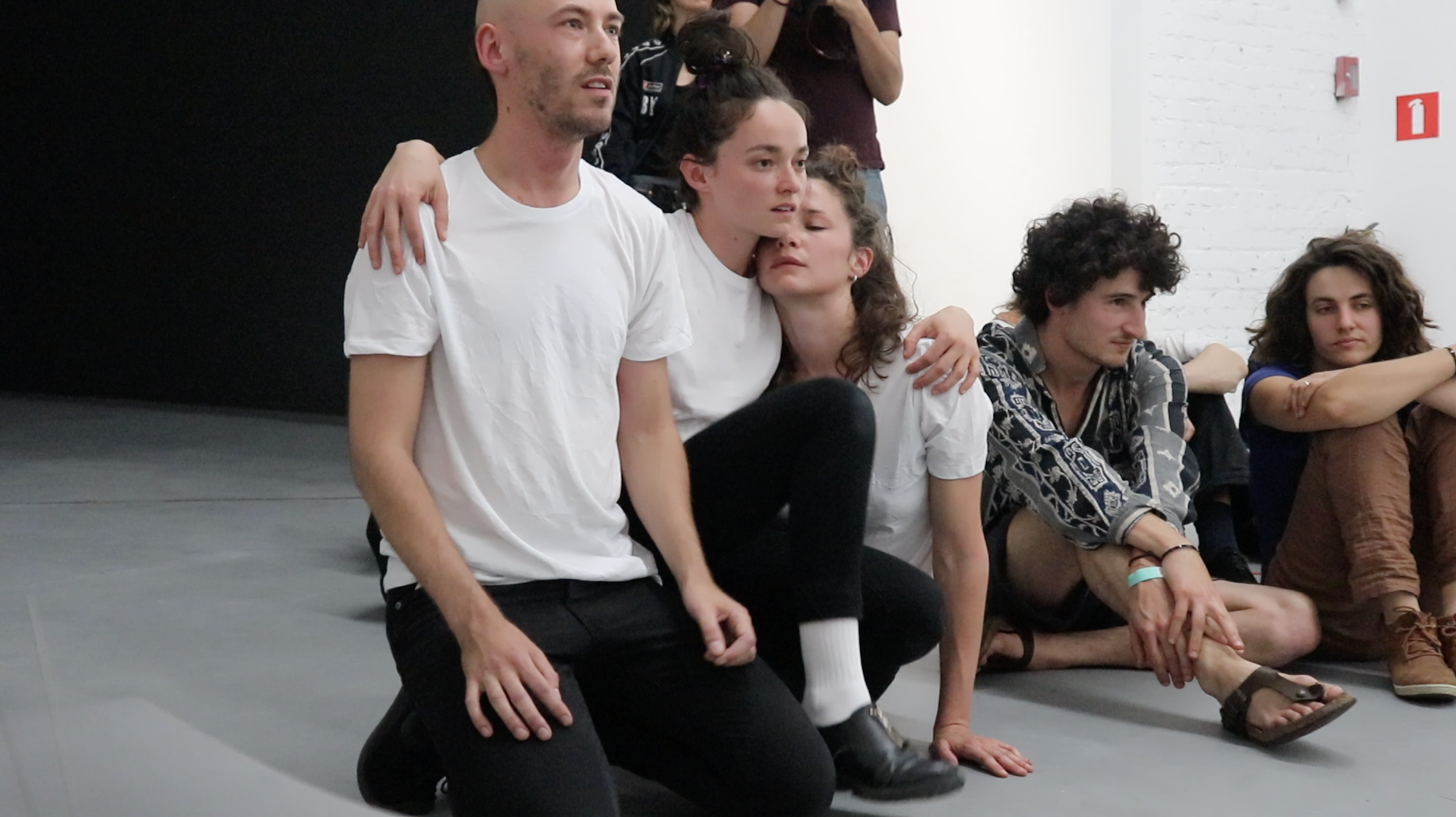 The Dead Pigeon performance