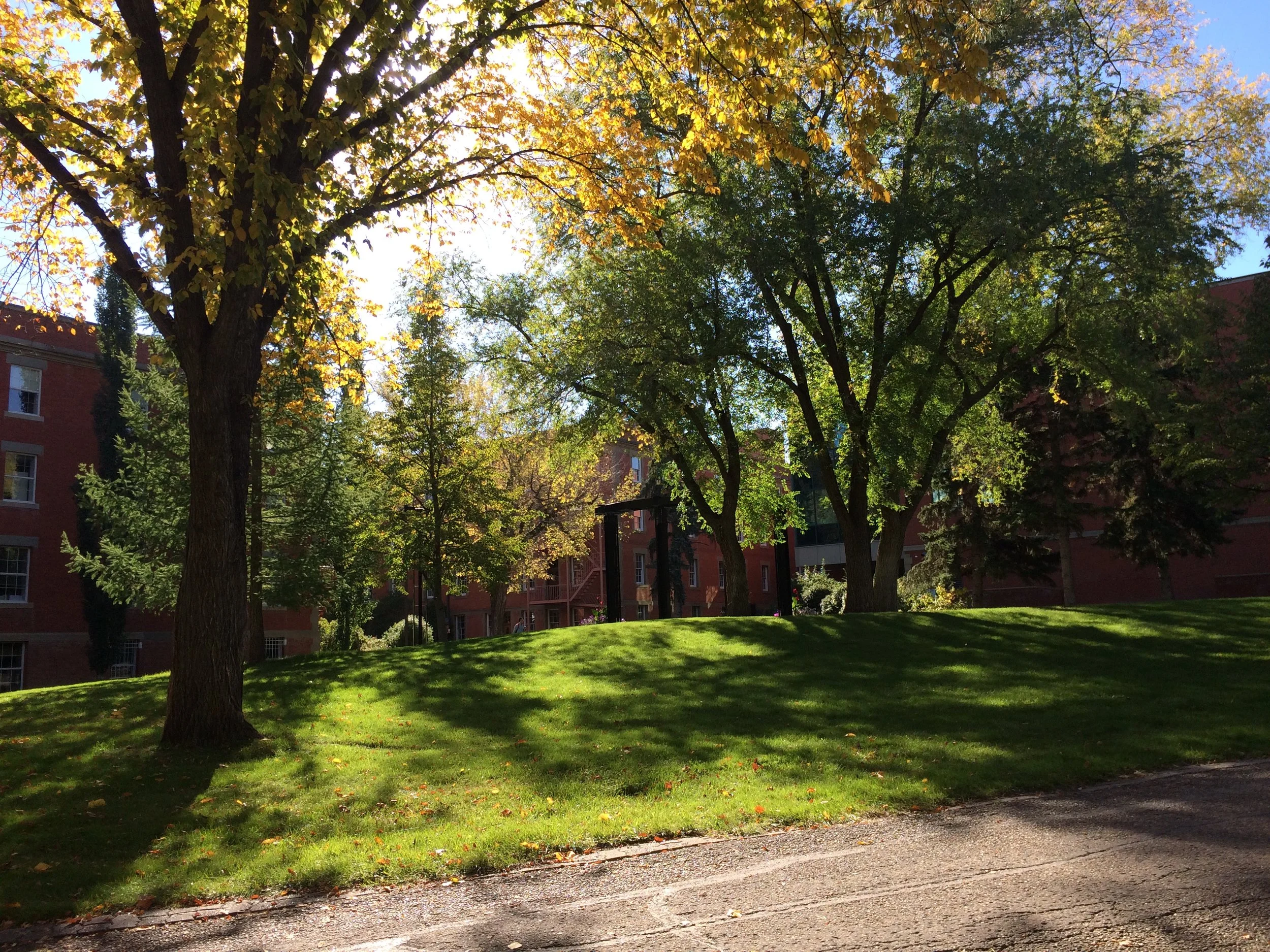 The University of Alberta campus in September!