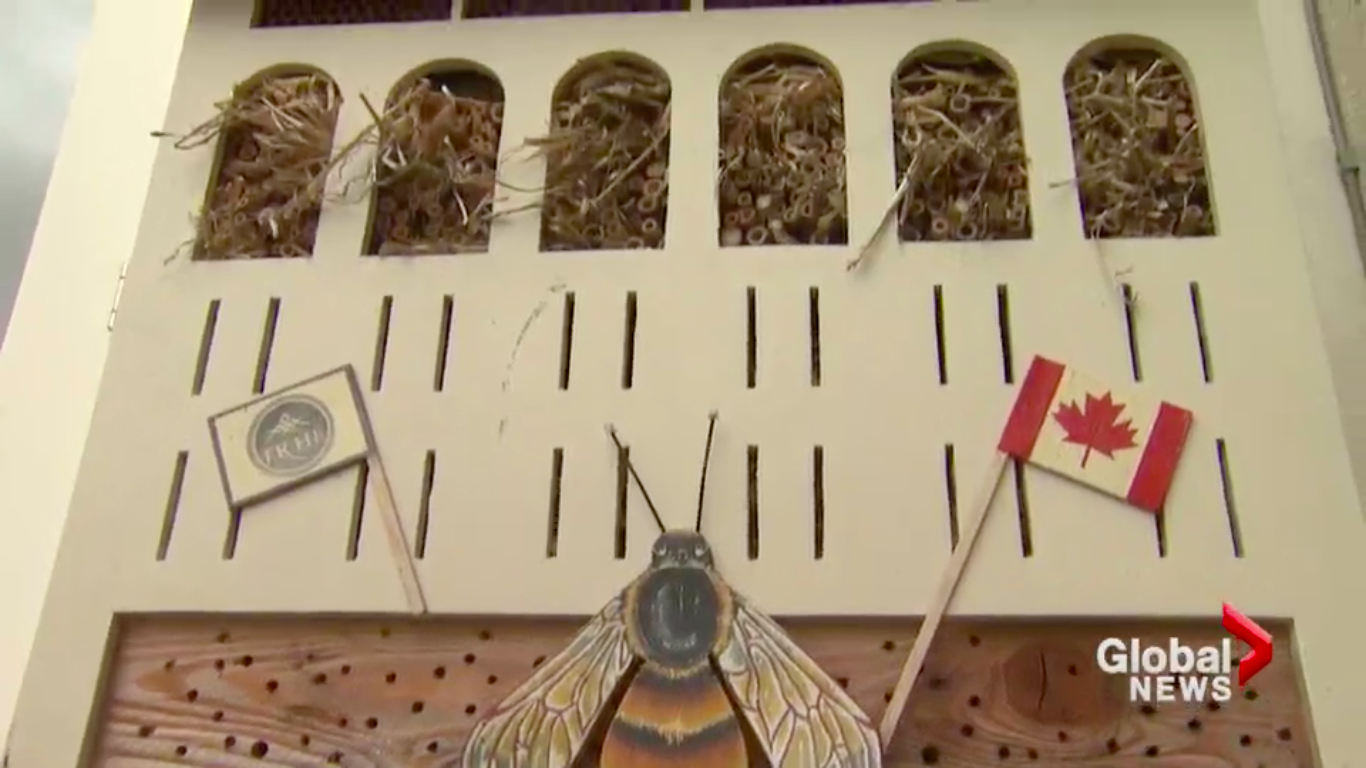 Canadian High Commissions Rooftop"Bee Hotel"