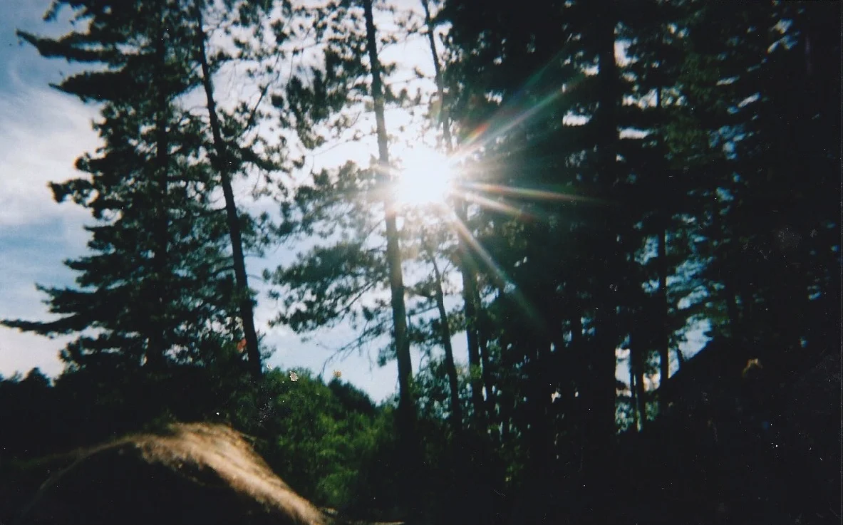 The writer enjoying nature