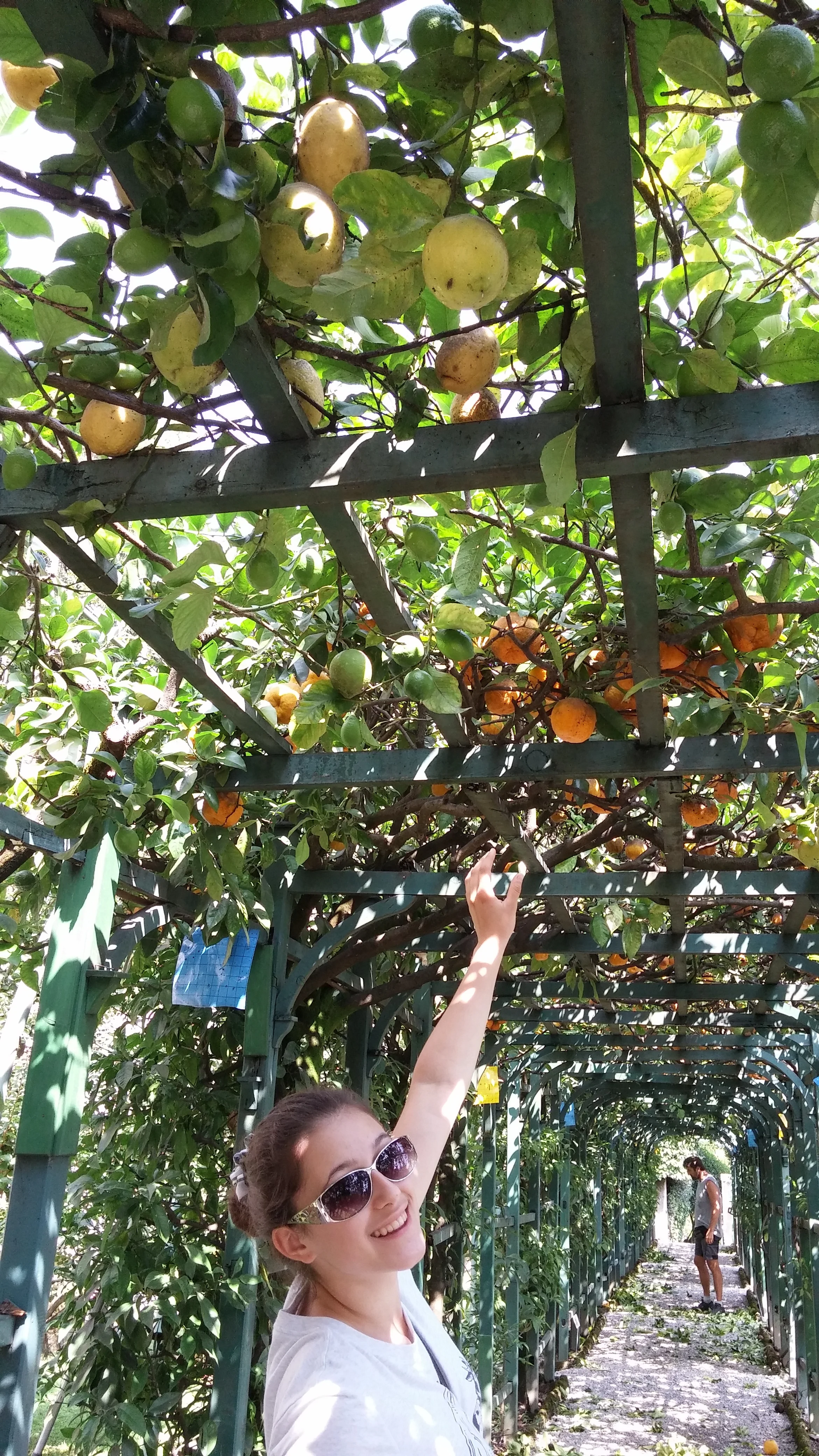 This is me rescuing some urban fruit in Italy a couple years ago, photo by Denise Koufogiannakis