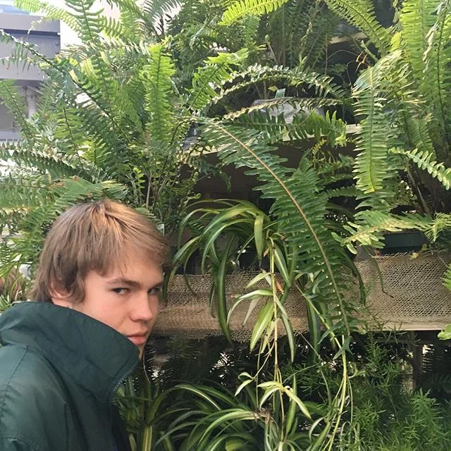 Introimage.jpg
