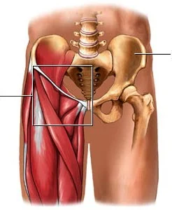 groin pull blog.jpg