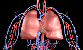 Unleash The Healing Power of the Breath