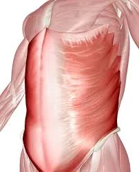 oblique 2.jpg