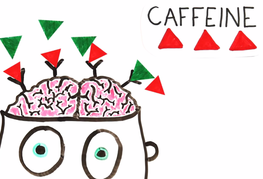 Caffeine totally "catfishing" the brain right now in this picture.