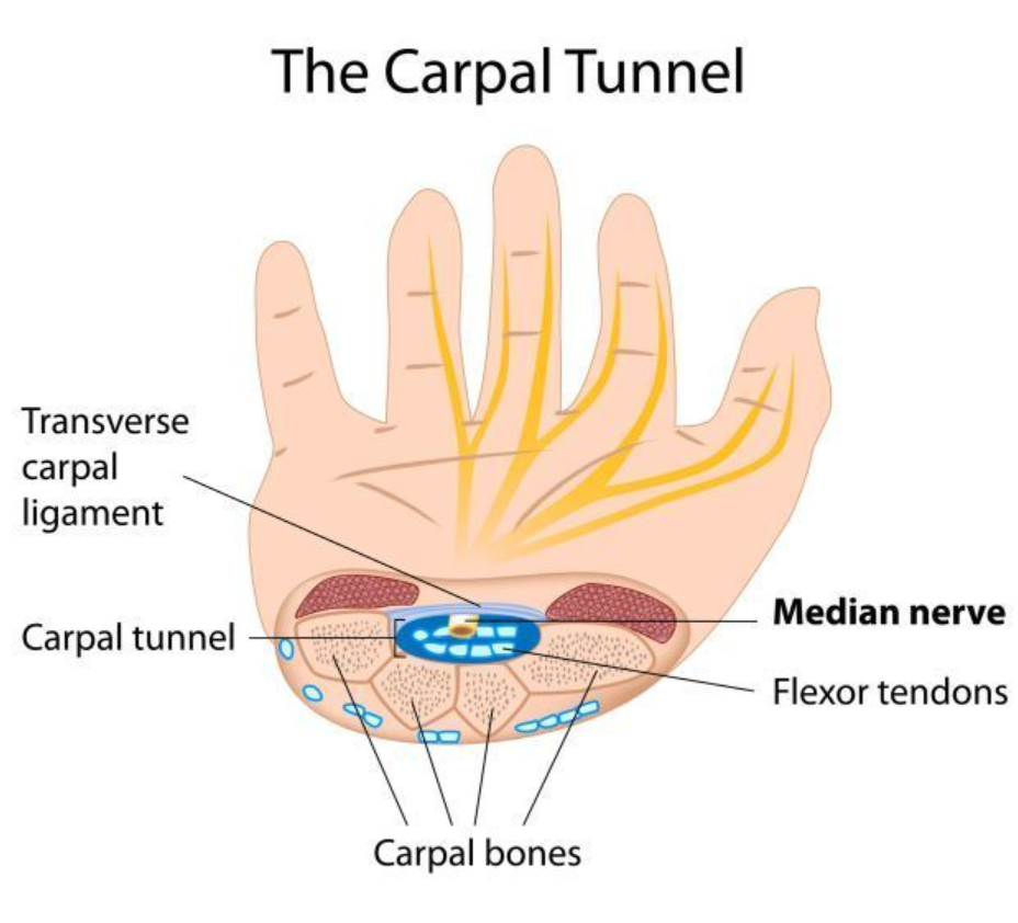 capal tunnel.PNG