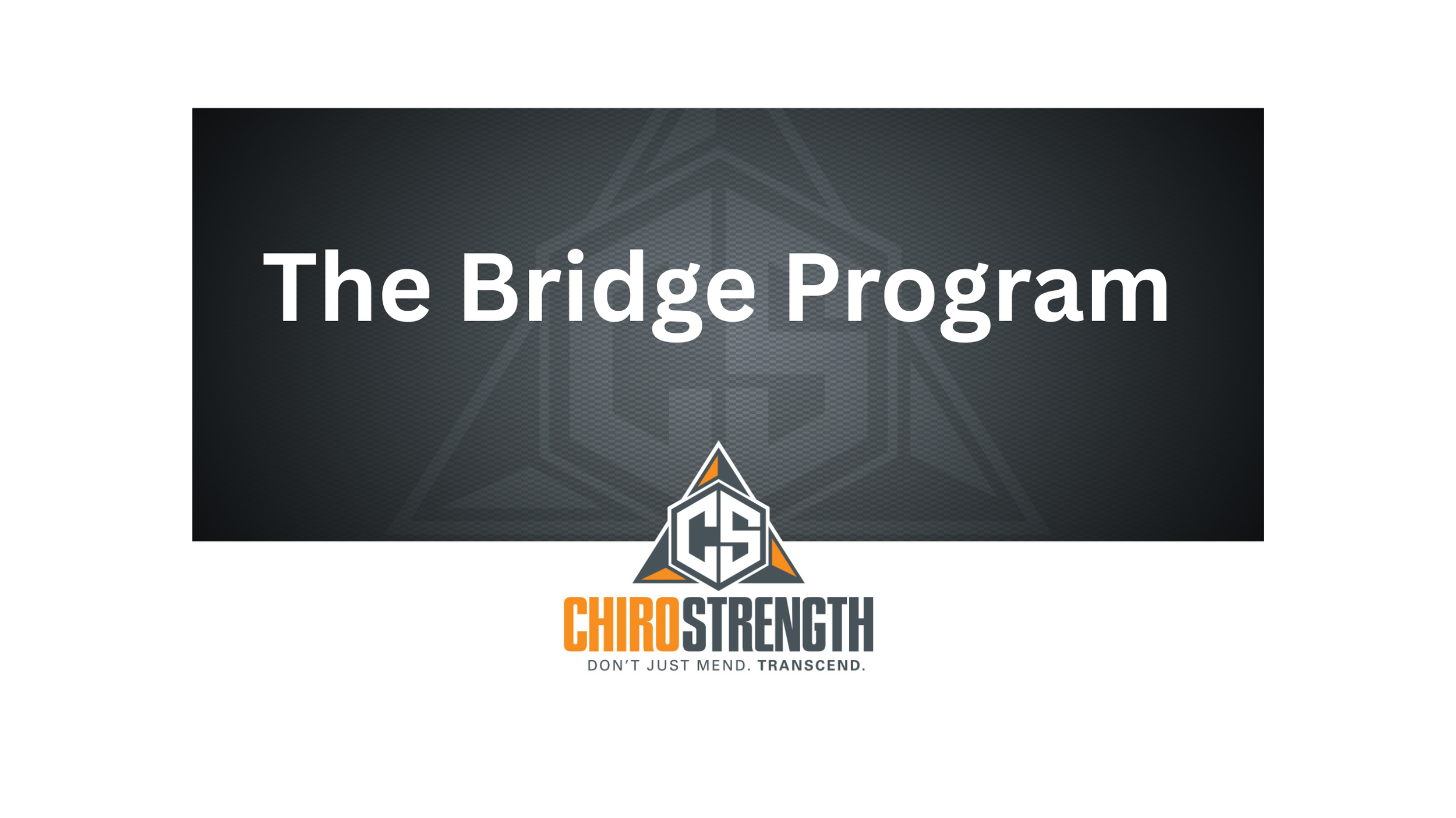 The Bridge program.png