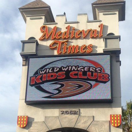 Exclusive Wild Wingers Kids Club Party at Medieval Times