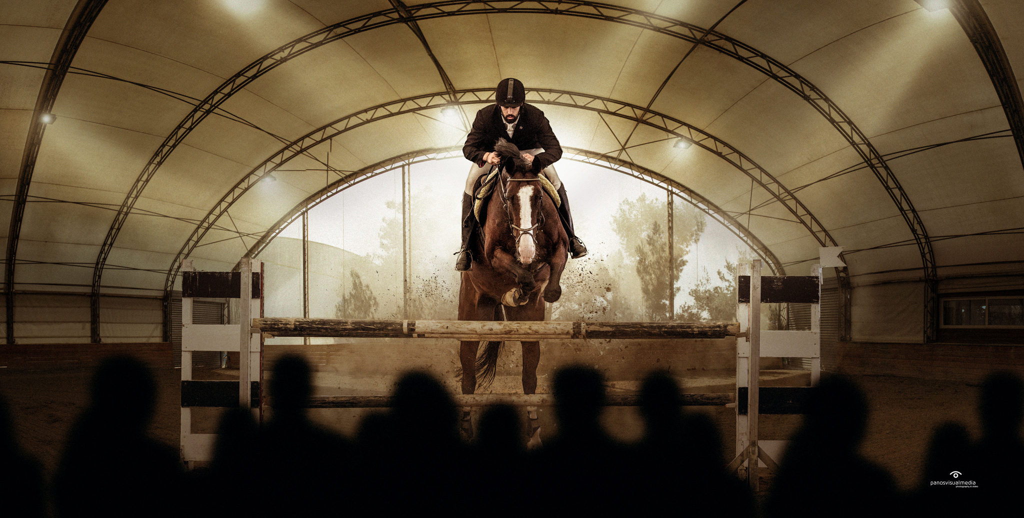Equestrian Competitor