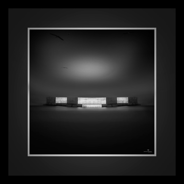 "Living Image " Concept